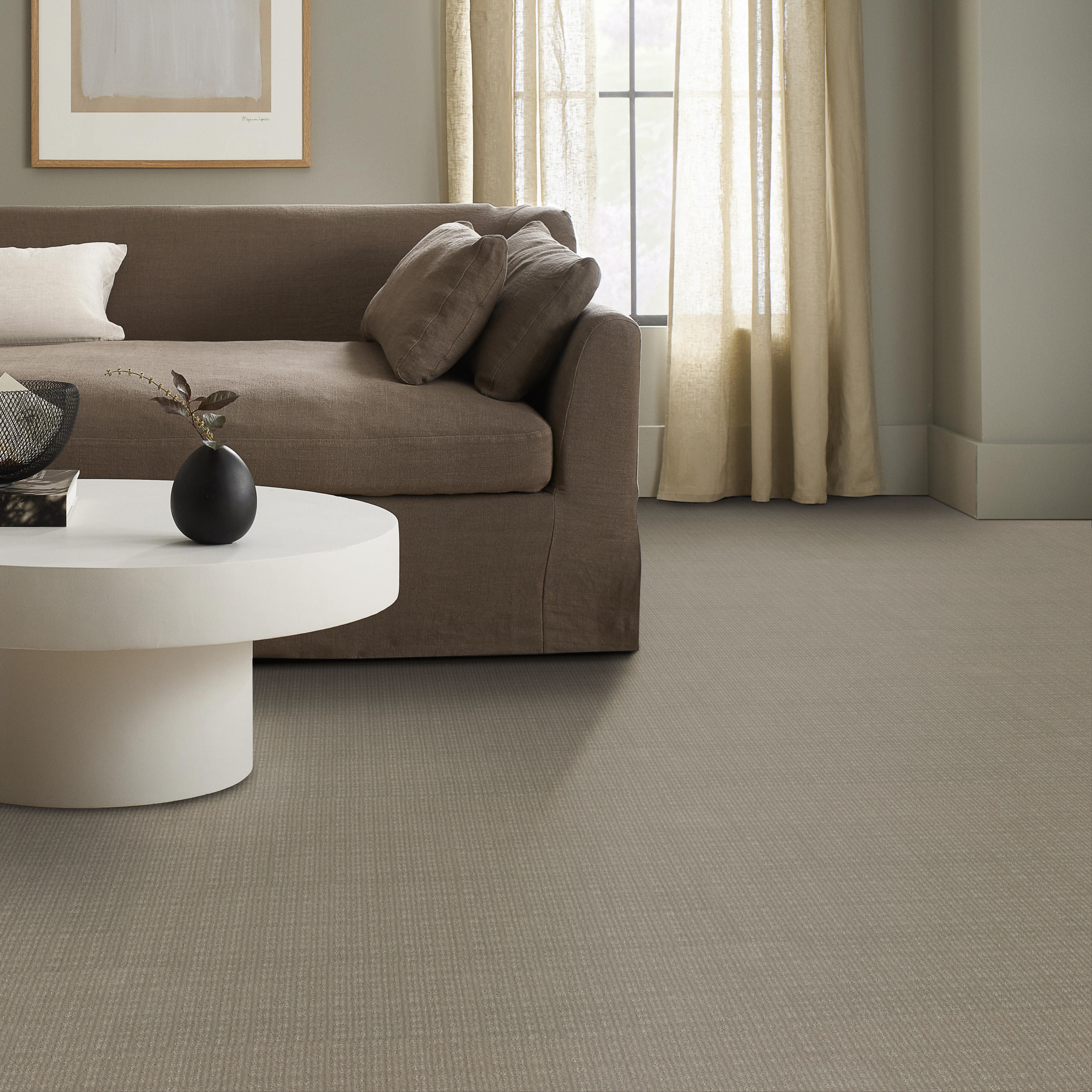 PURRSUASION FAVORITE TAN ROOM in room