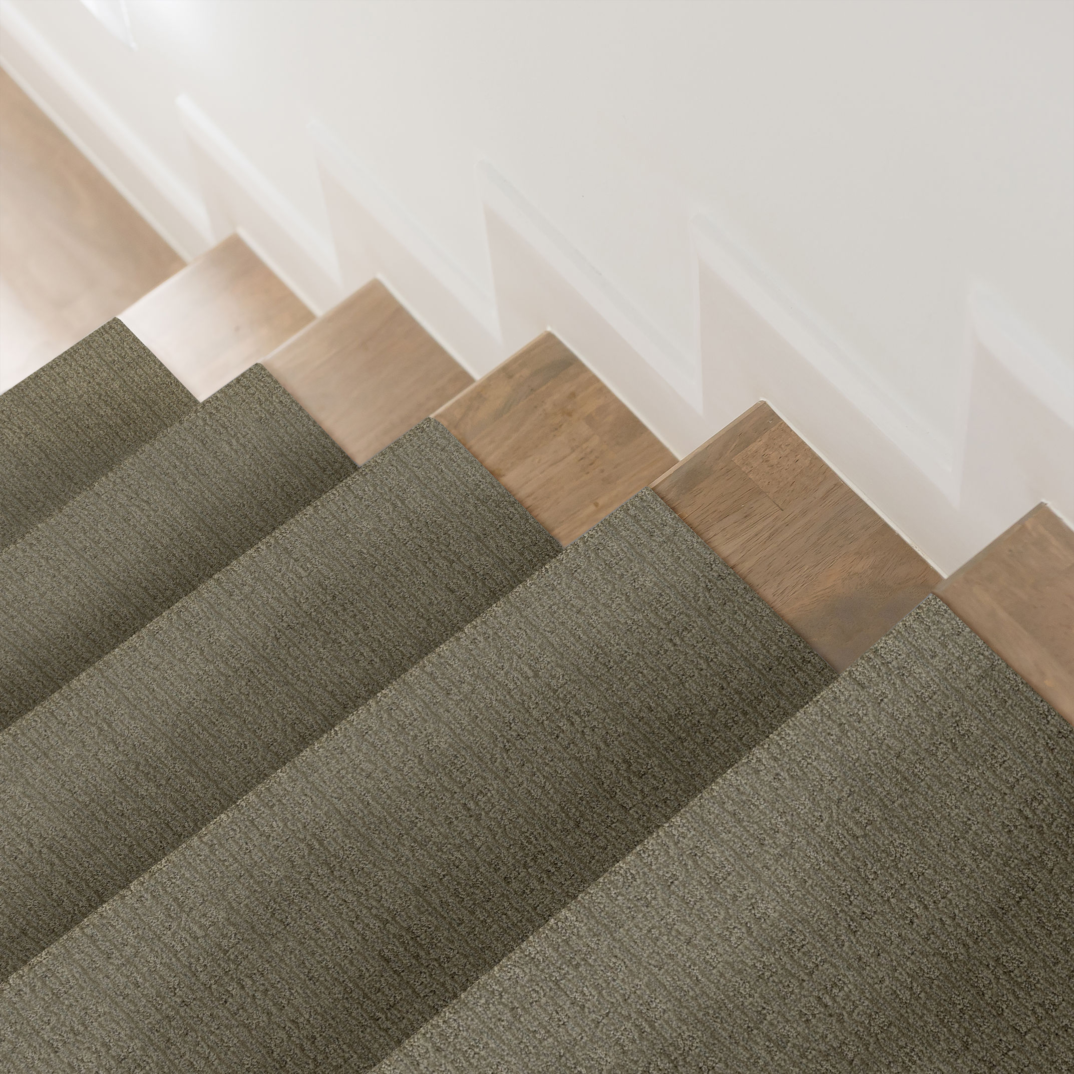 PURRSUASION URBAN JUNGLE ROOM