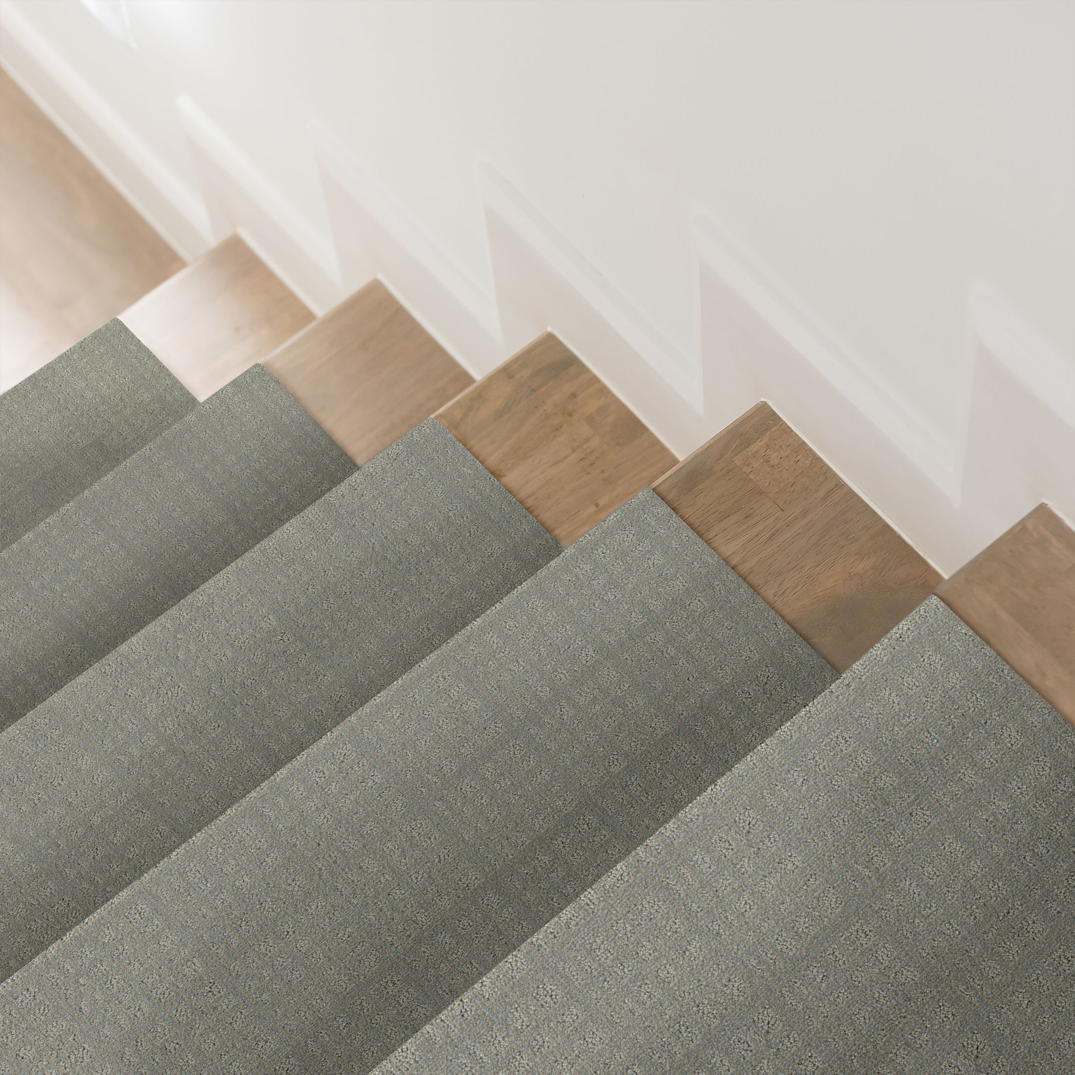 PURRSUASION TIDE POOL ROOM