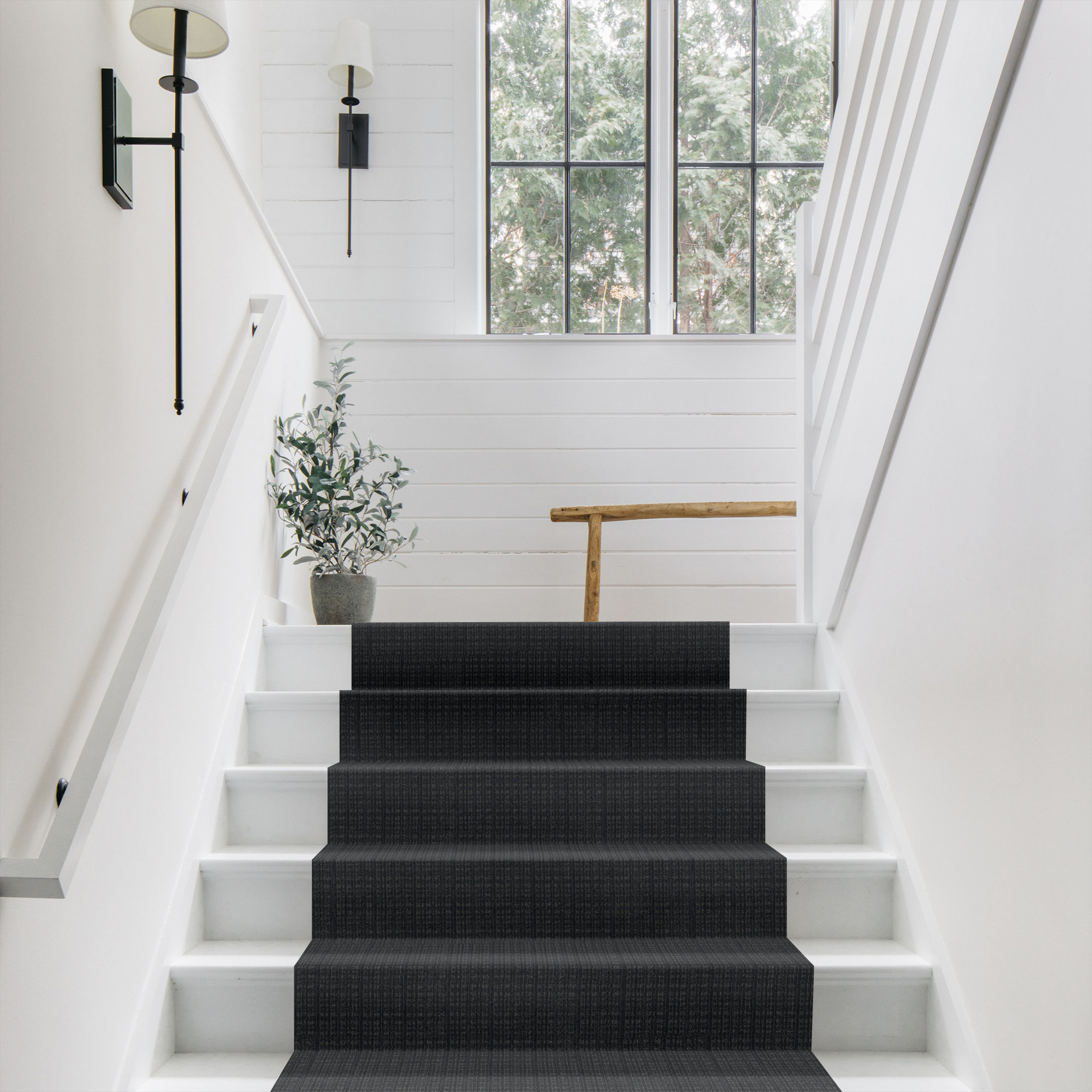 PURRSUASION WATERLOO ROOM