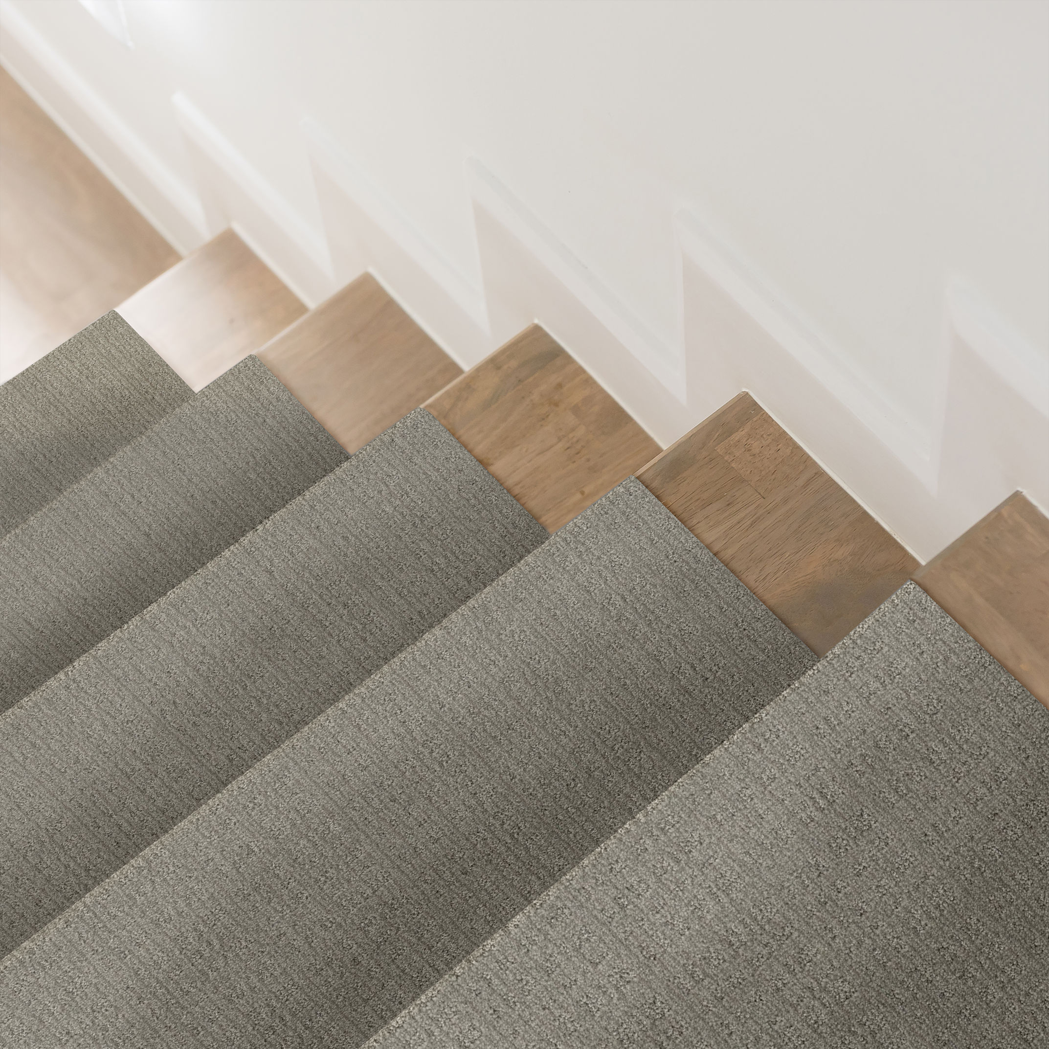 PURRSUASION CEMENT ROOM