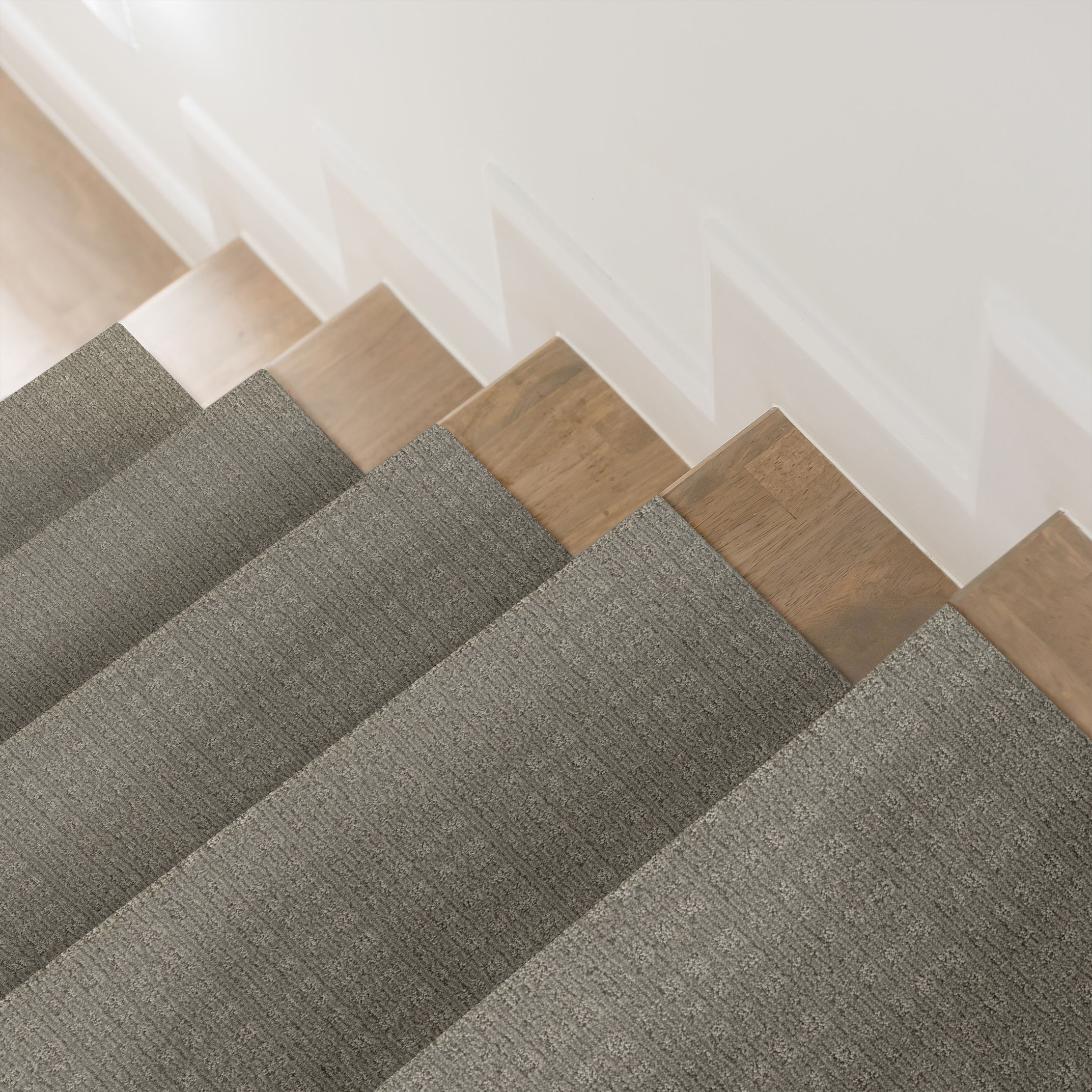 PURRSUASION BACKDROP ROOM