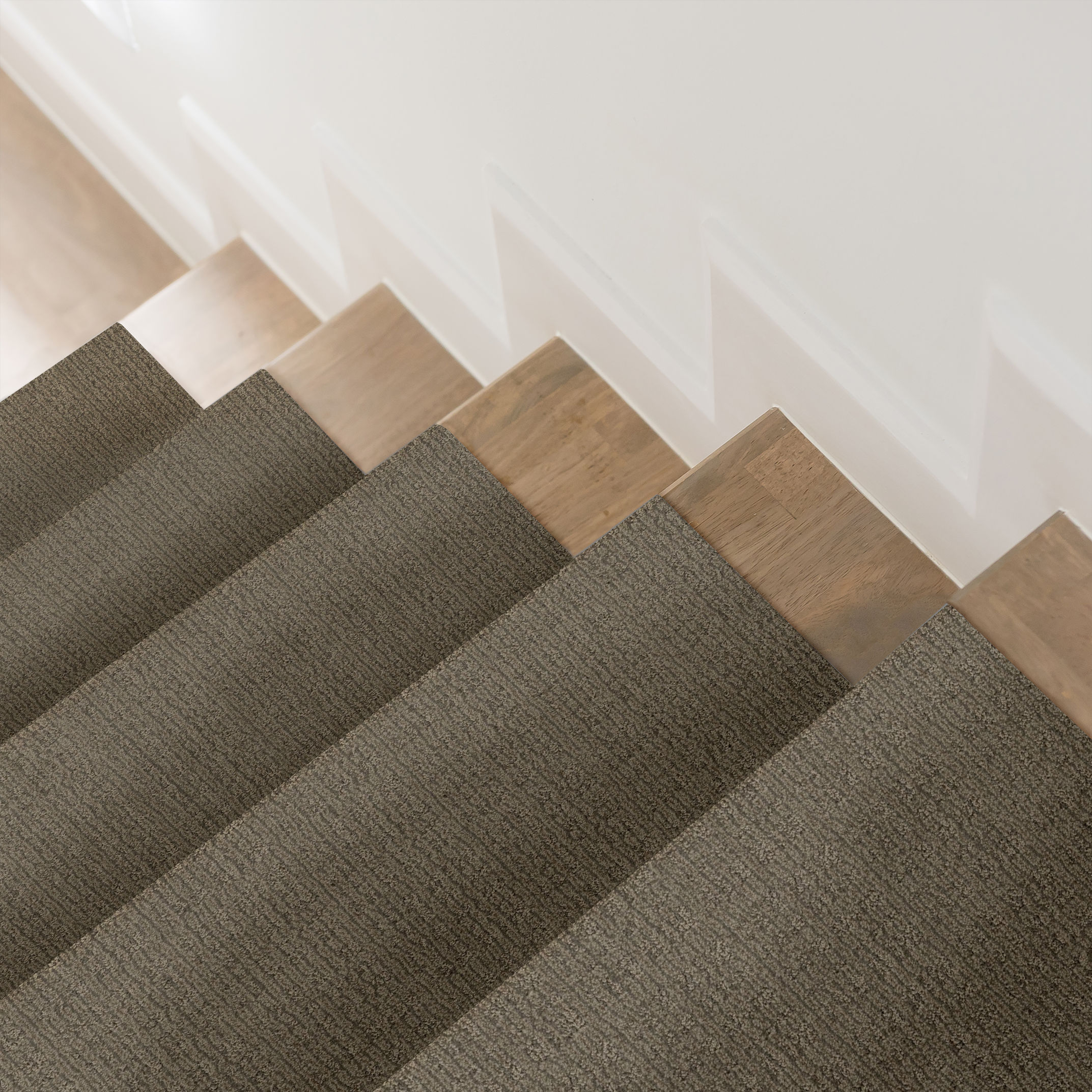 PURRSUASION CRAFTSMAN ROOM