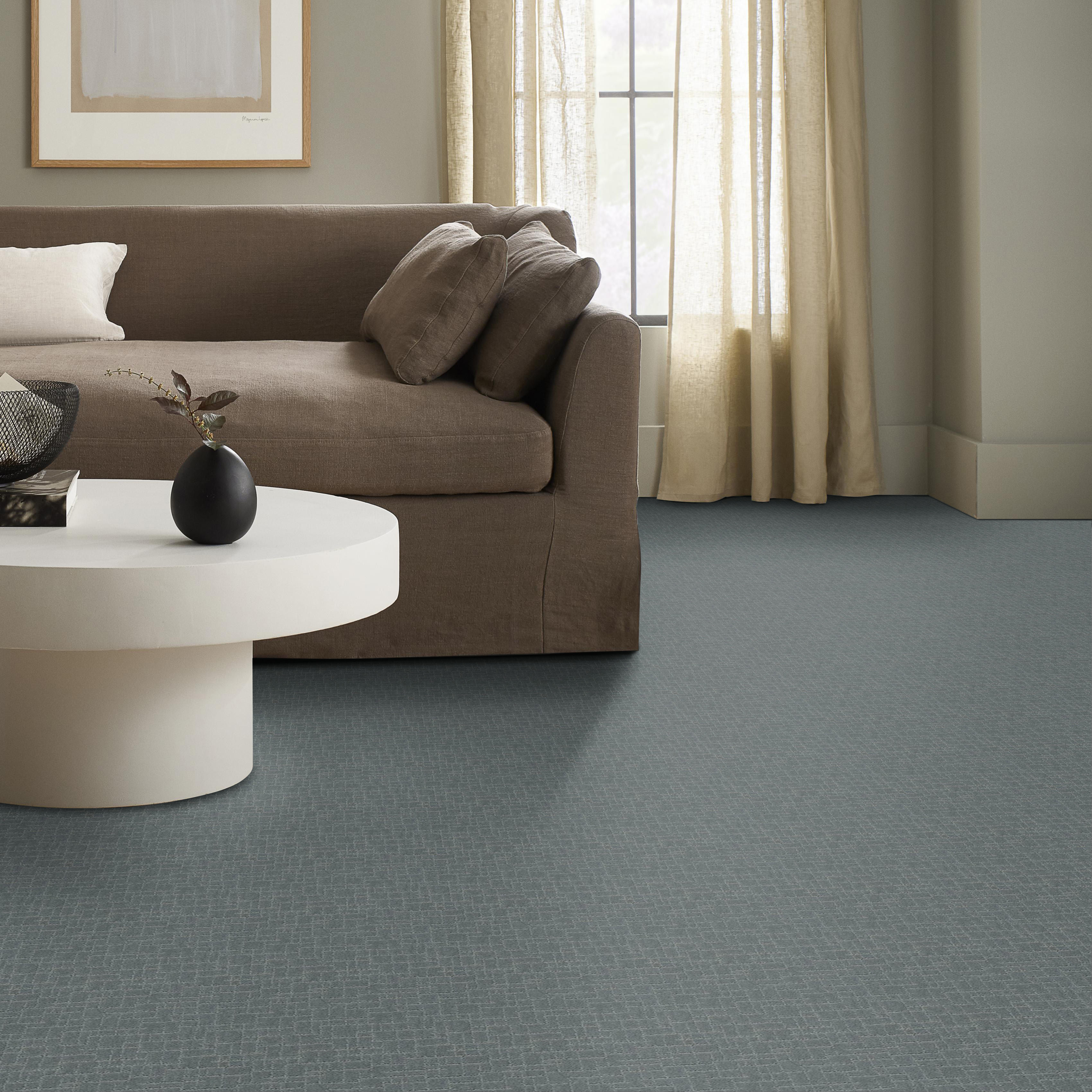 FAUX PAW STEEL WOOL ROOM in room