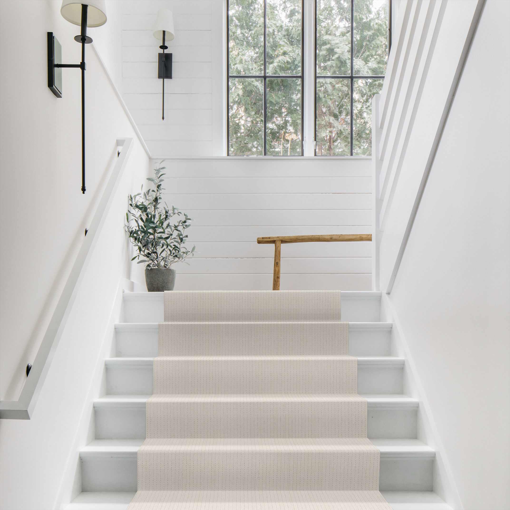 SAN LUCAS WHITE BLUSH ROOM