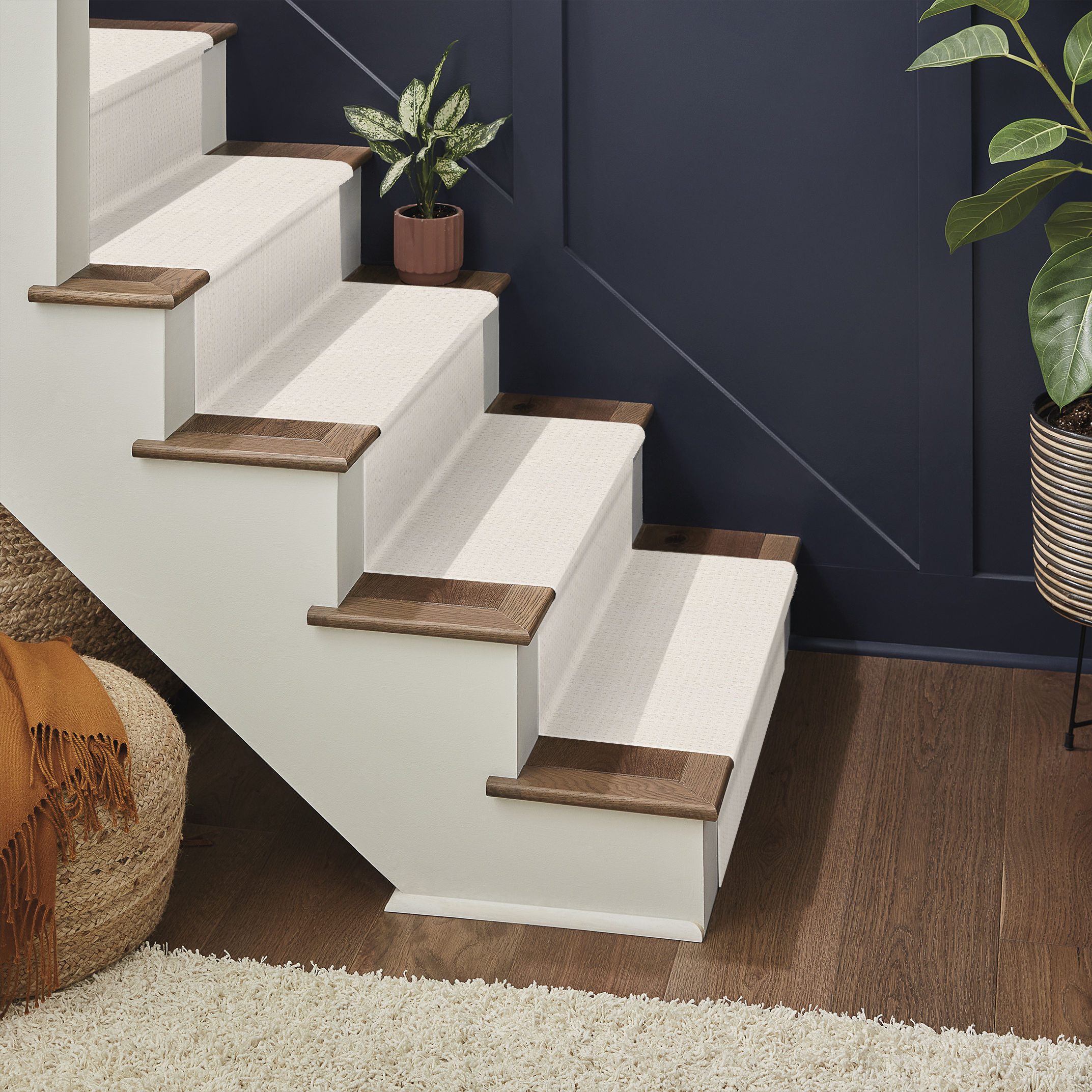 SAN LUCAS WHITE BLUSH ROOM