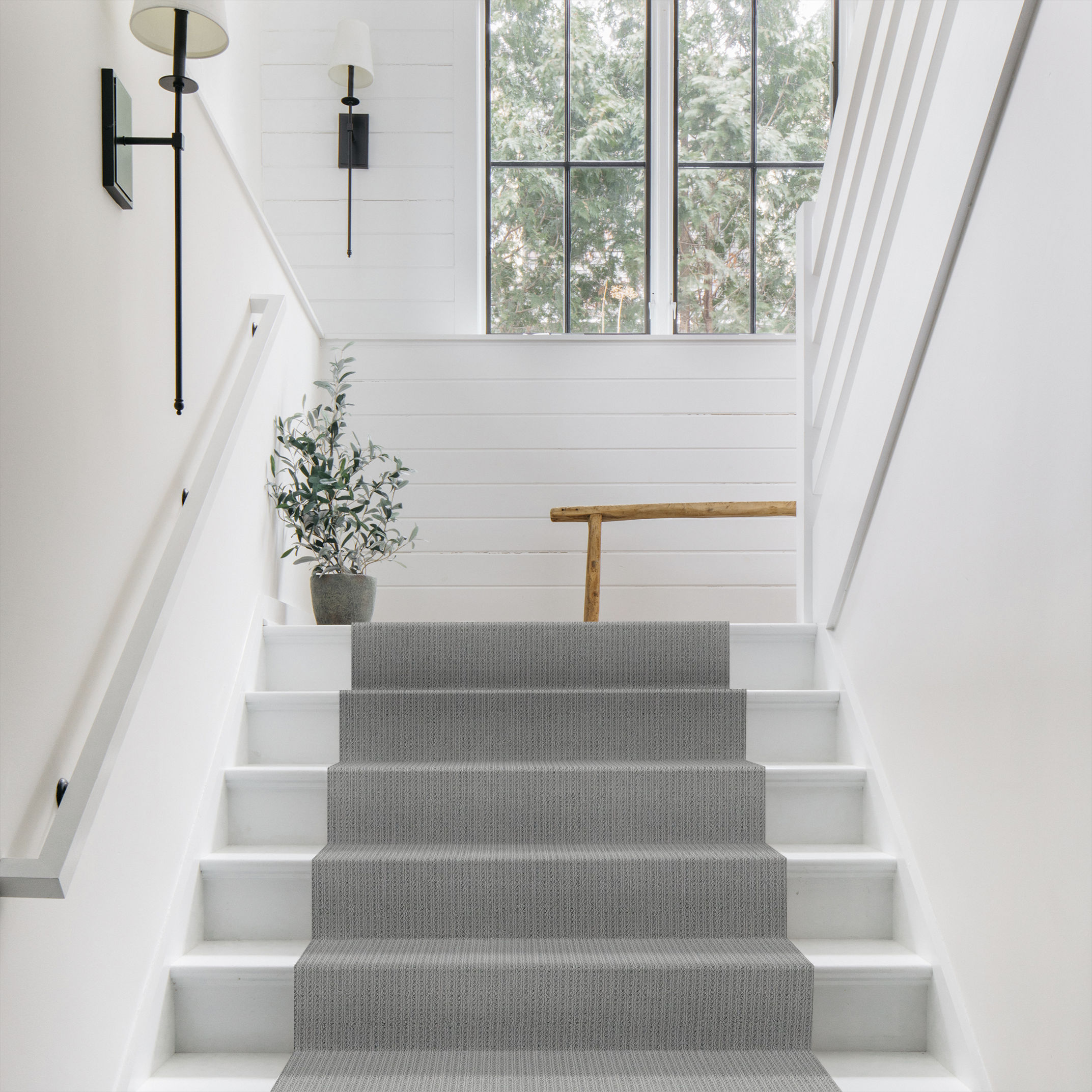 SAN LUCAS ESSENTIAL ROOM