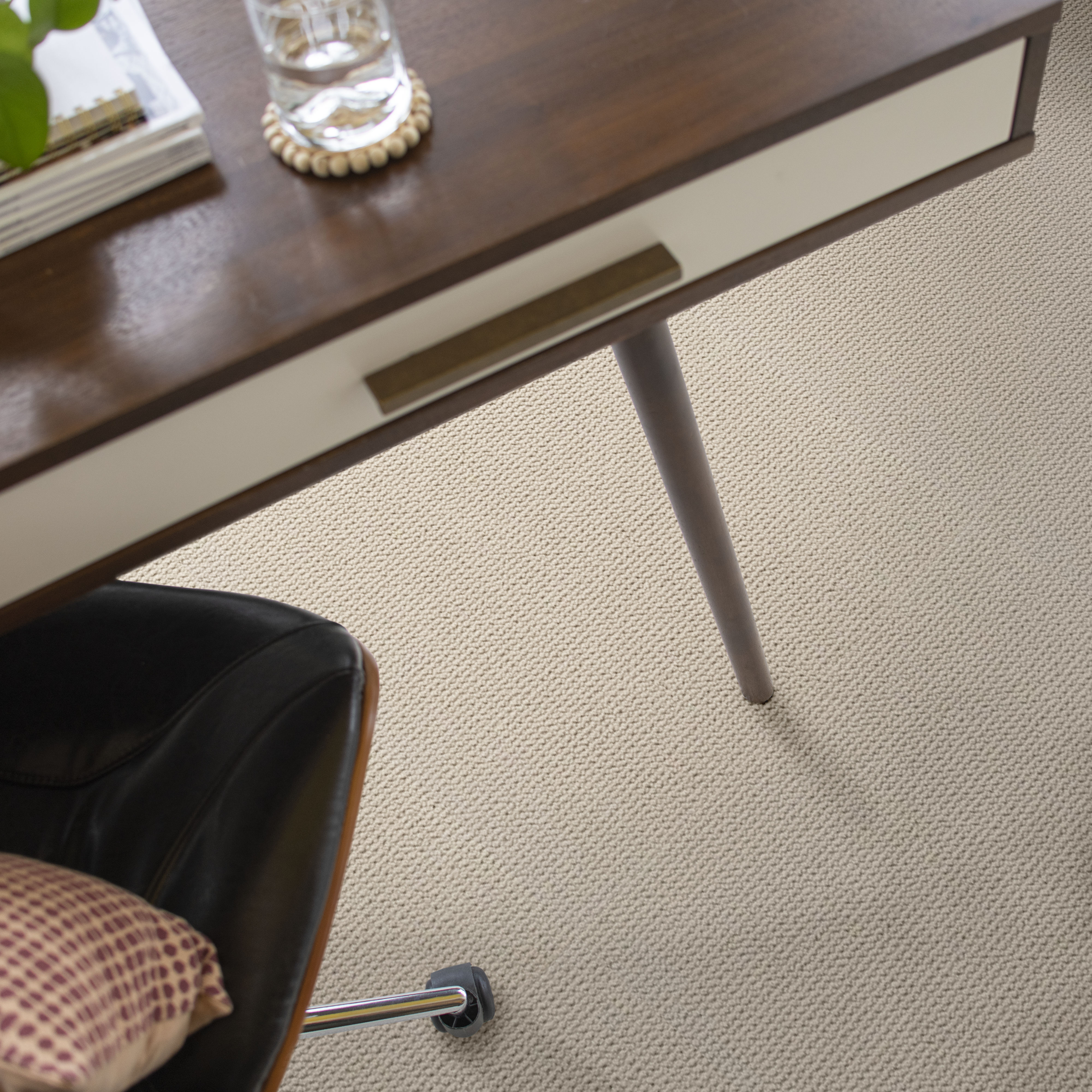 PURRFECTION WHITE SAND ROOM in room