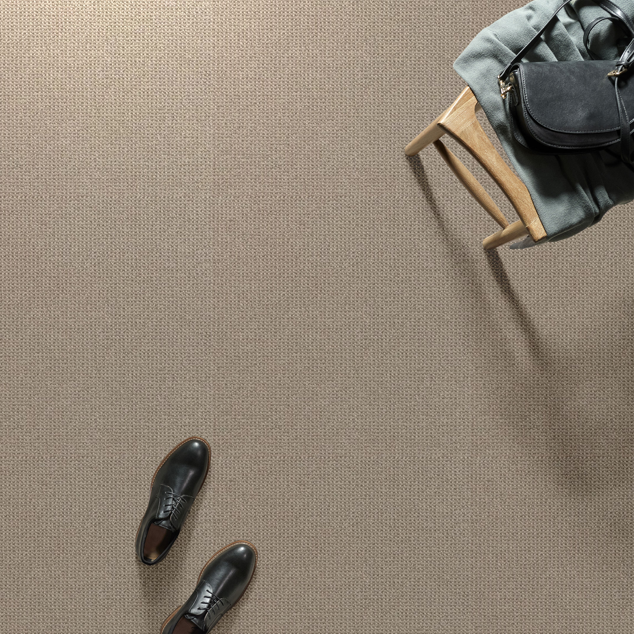 PURRFECTION CHAMPAGNE ROOM