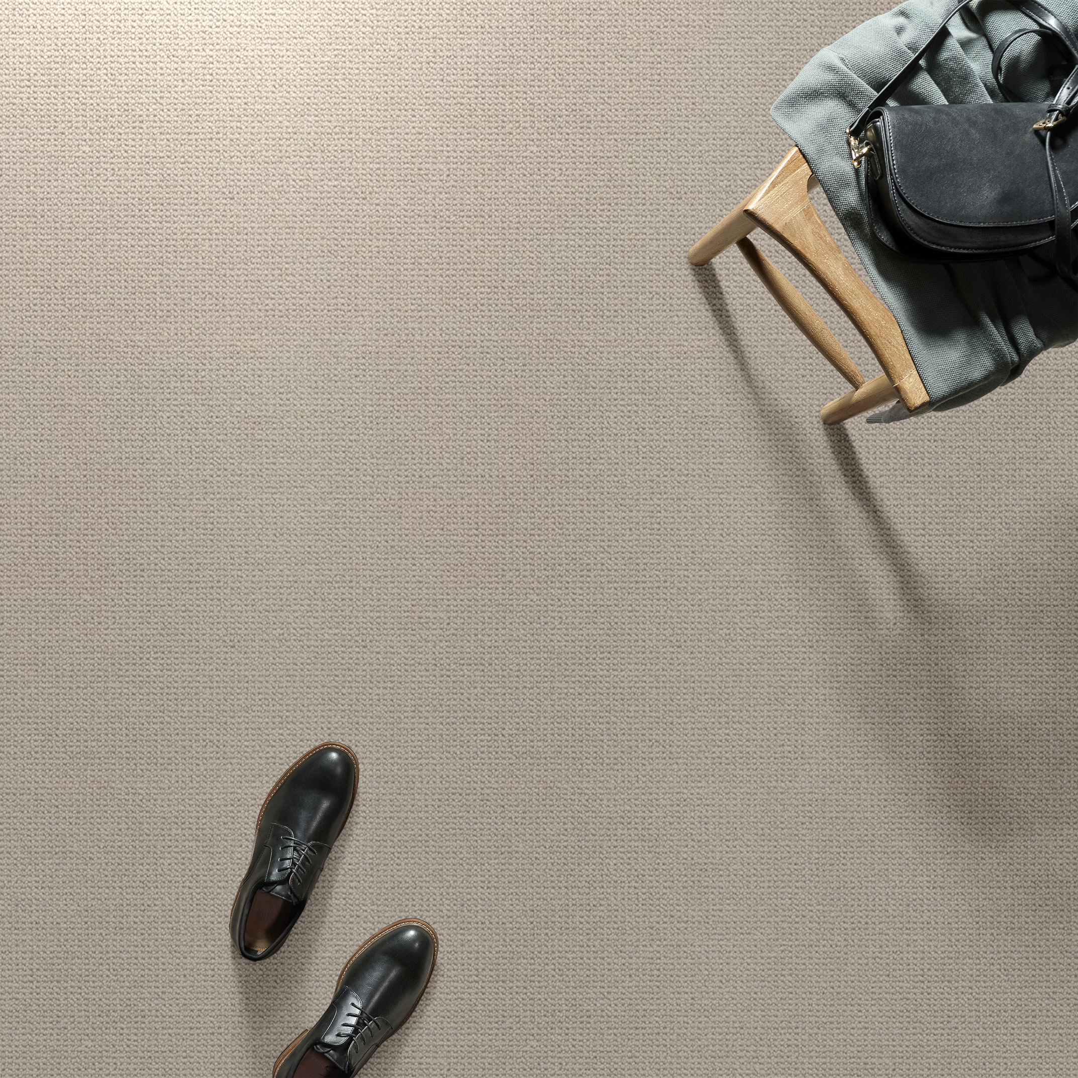 PURRFECTION MOCHA CREAM ROOM