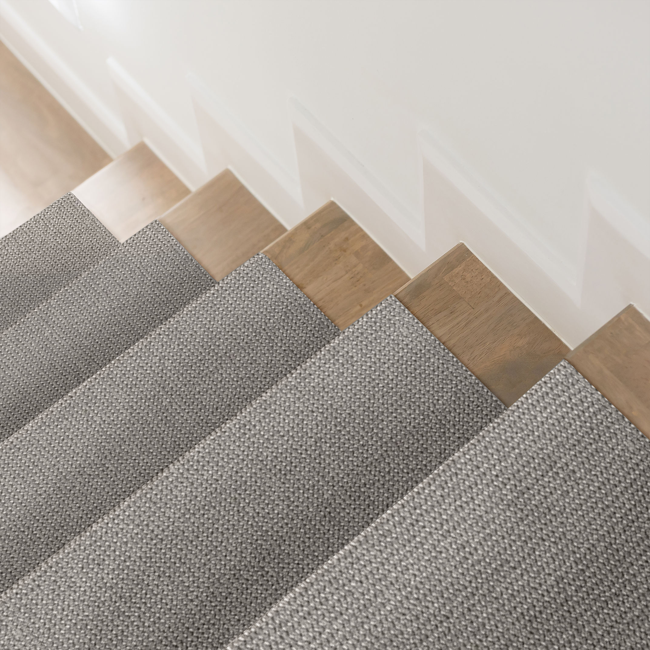 PURRFECTION PLATINUM ROOM