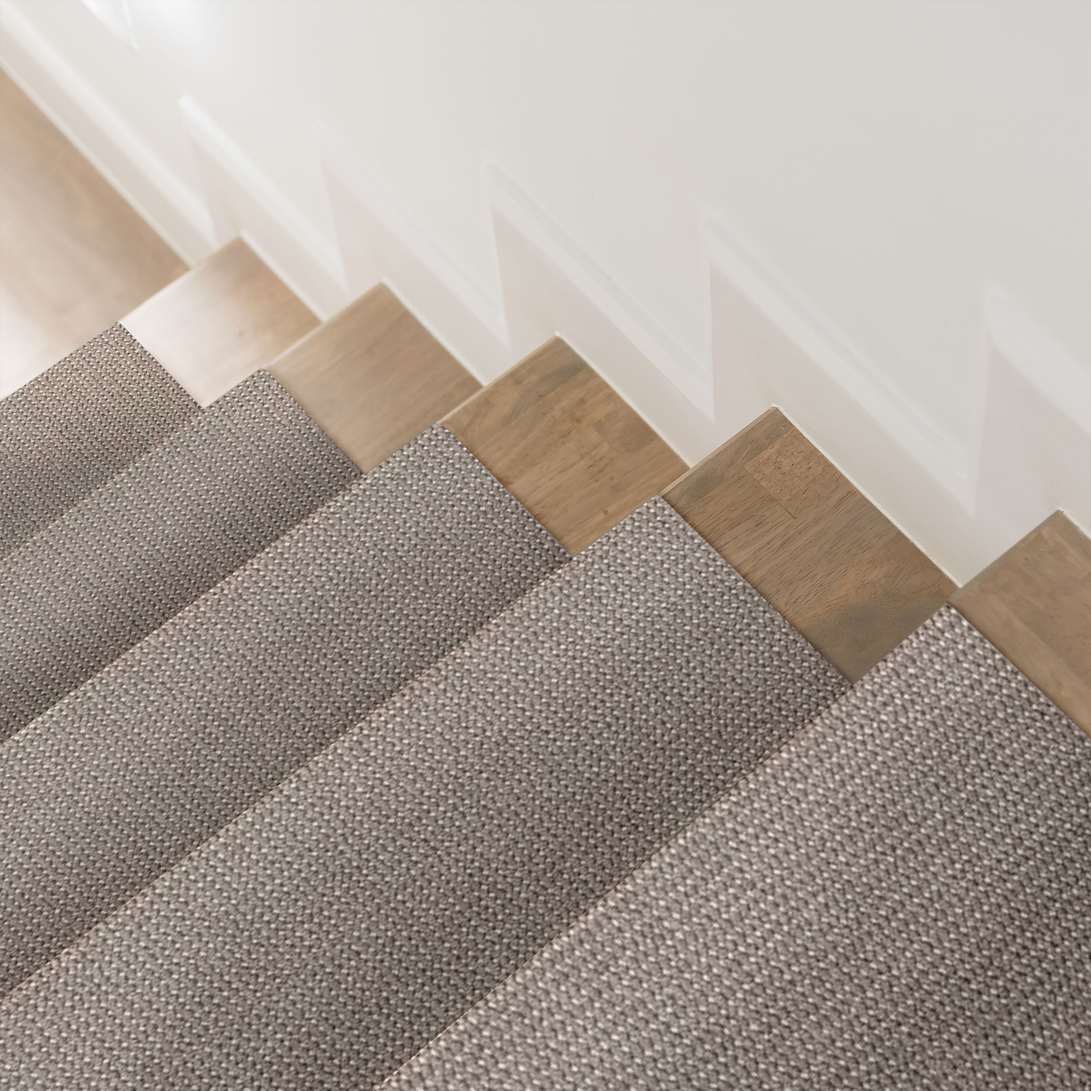 PURRFECTION METROPOLIS ROOM