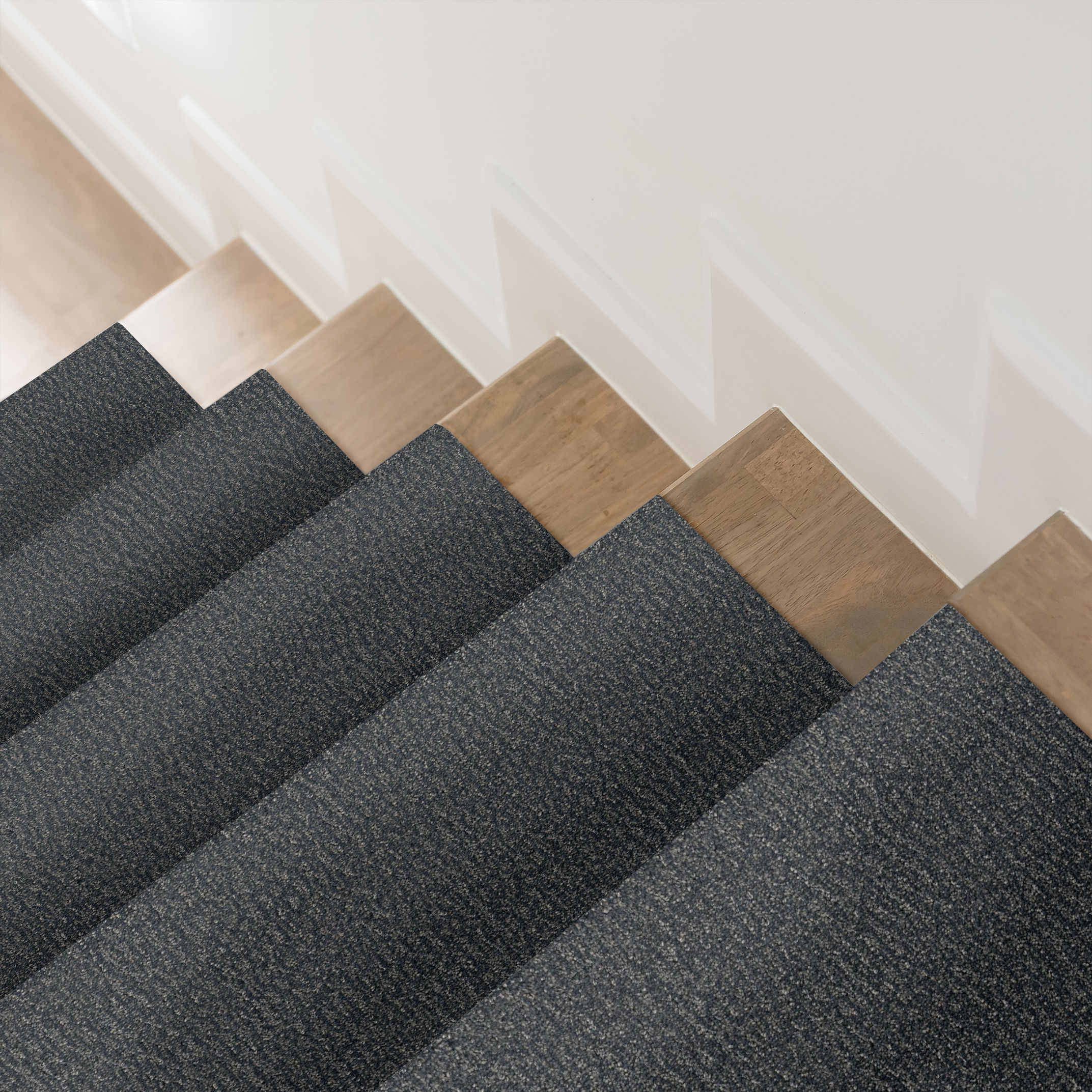 FUR-EVER WATERBURY ROOM