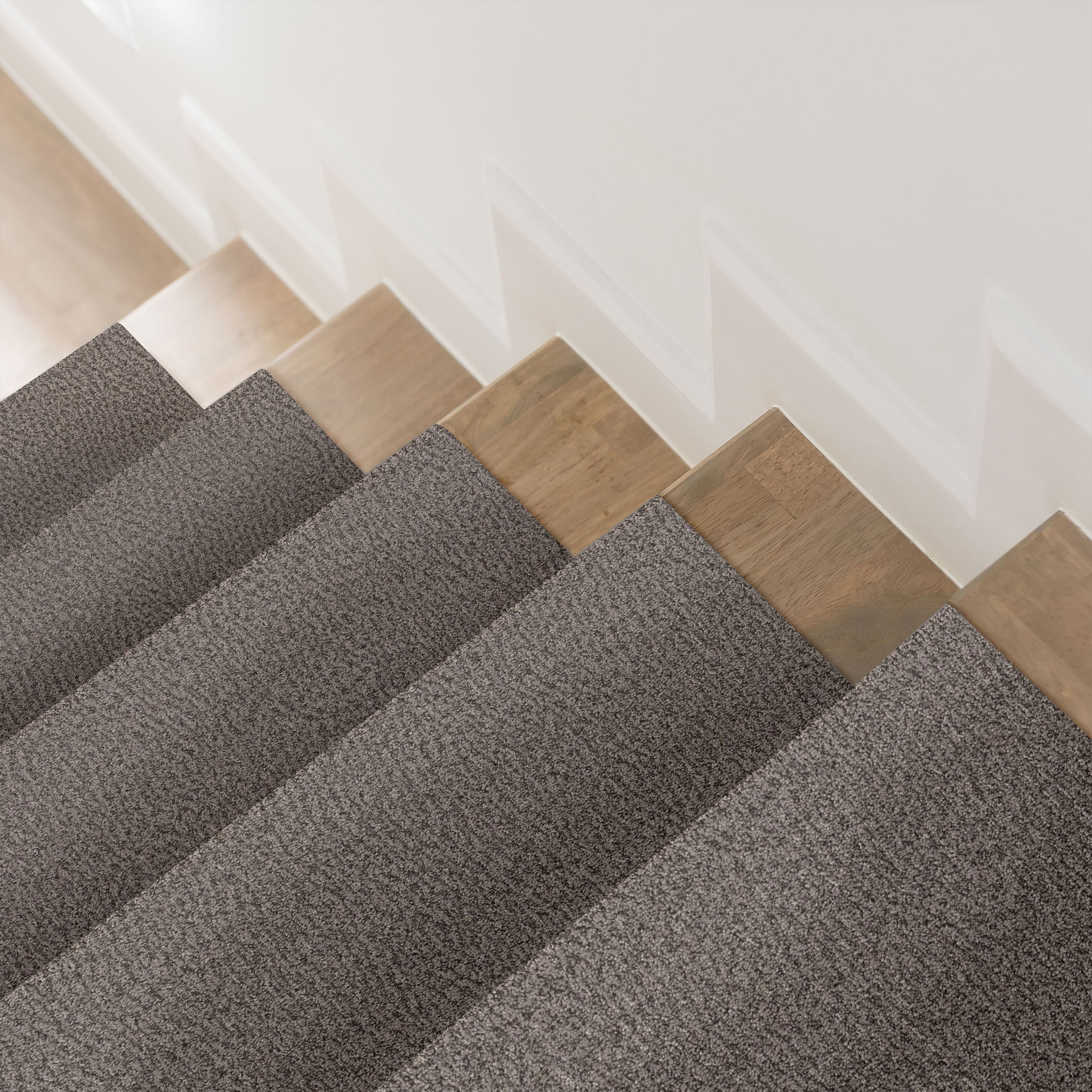 FUR-EVER KENDALL ROOM