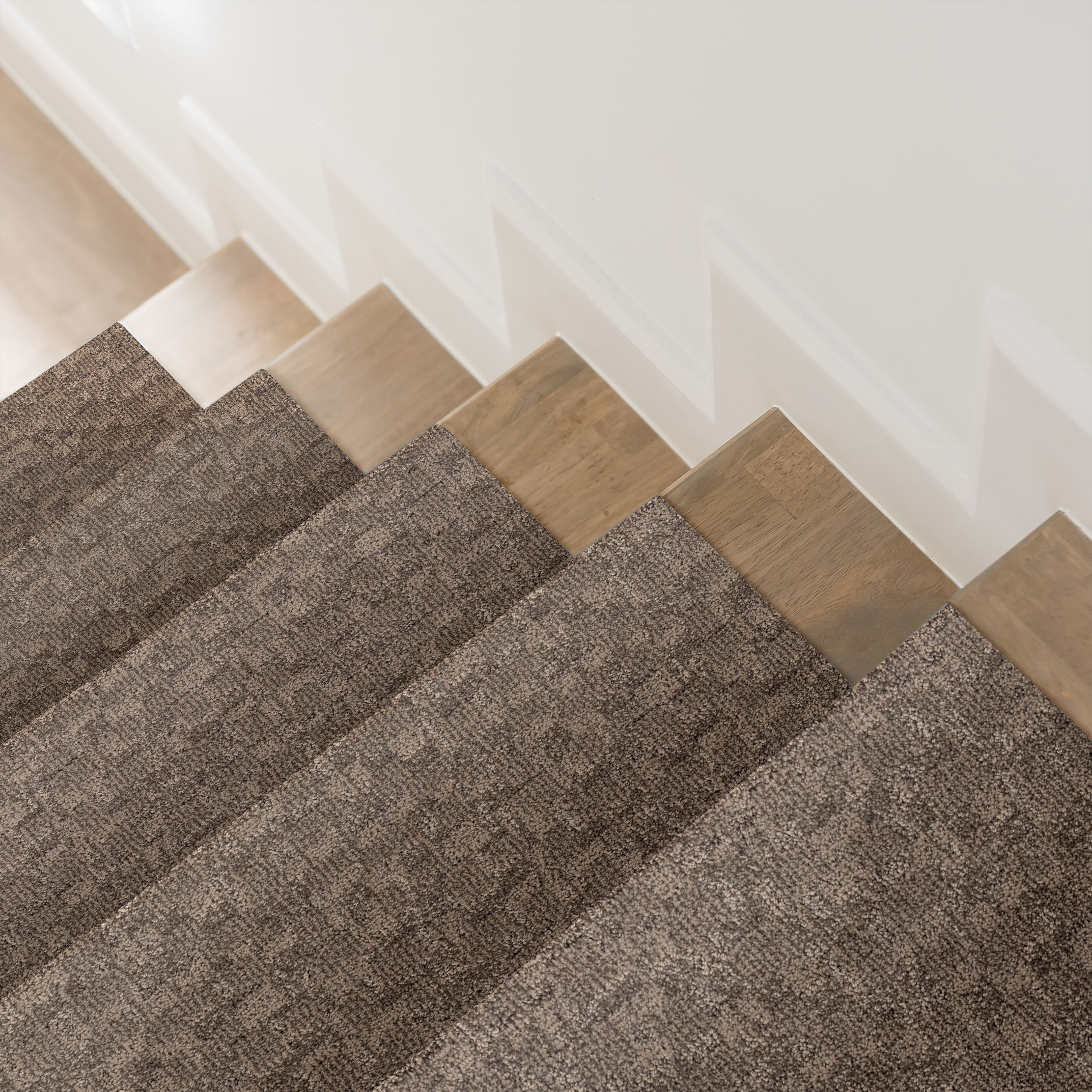 PAW-TAY DANVILLE ROOM