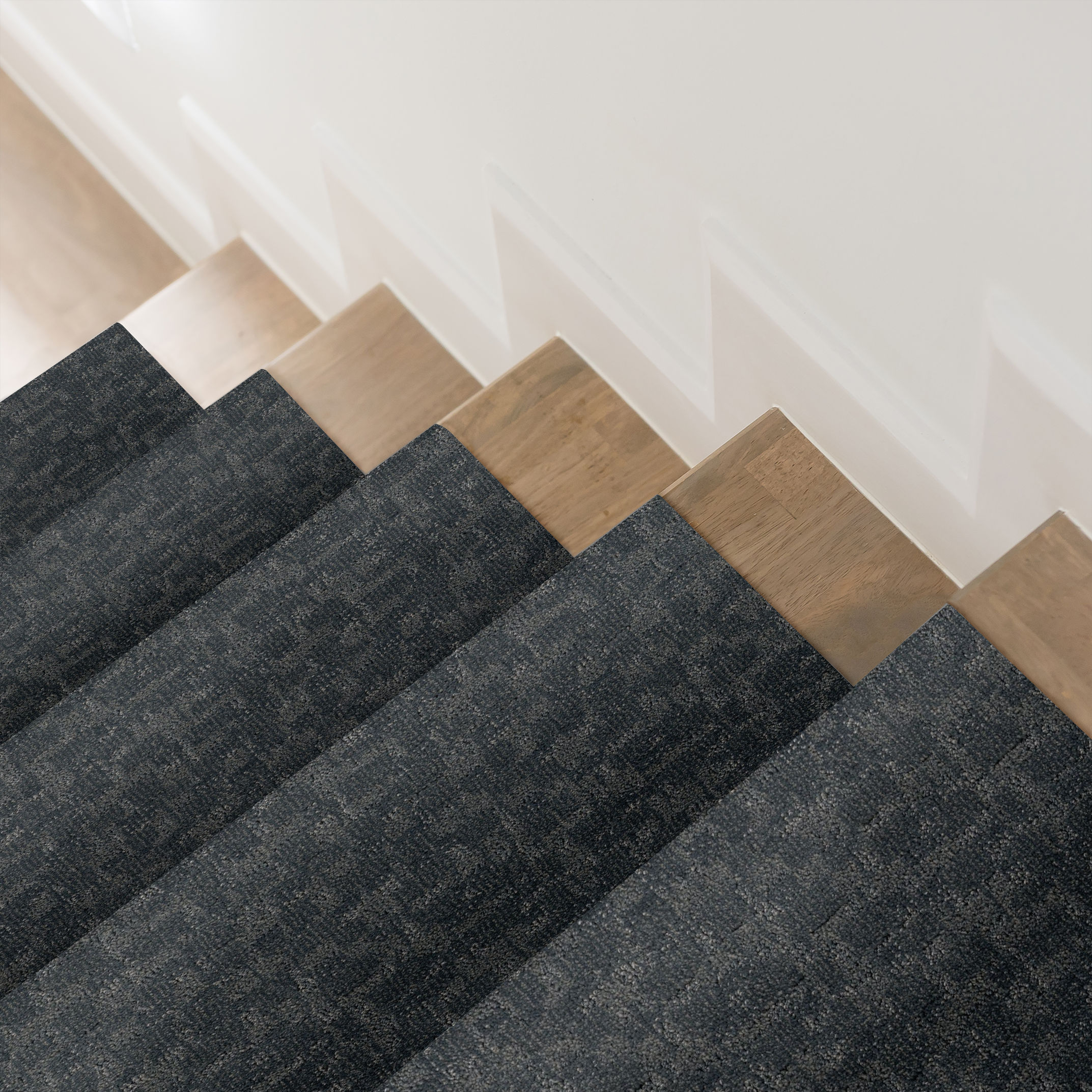 PAW-TAY WATERBURY ROOM