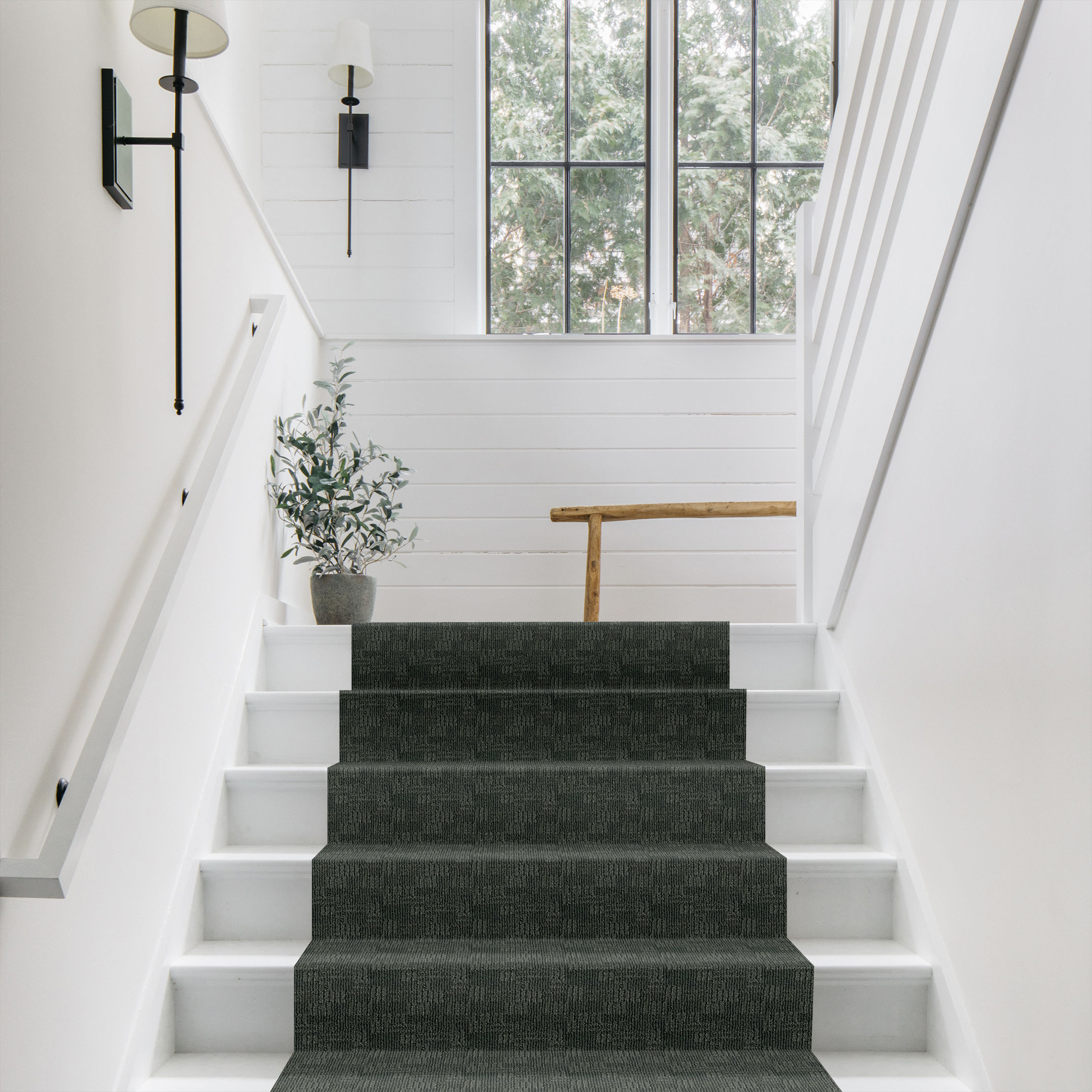 DIEGO ENCHANTED ROOM