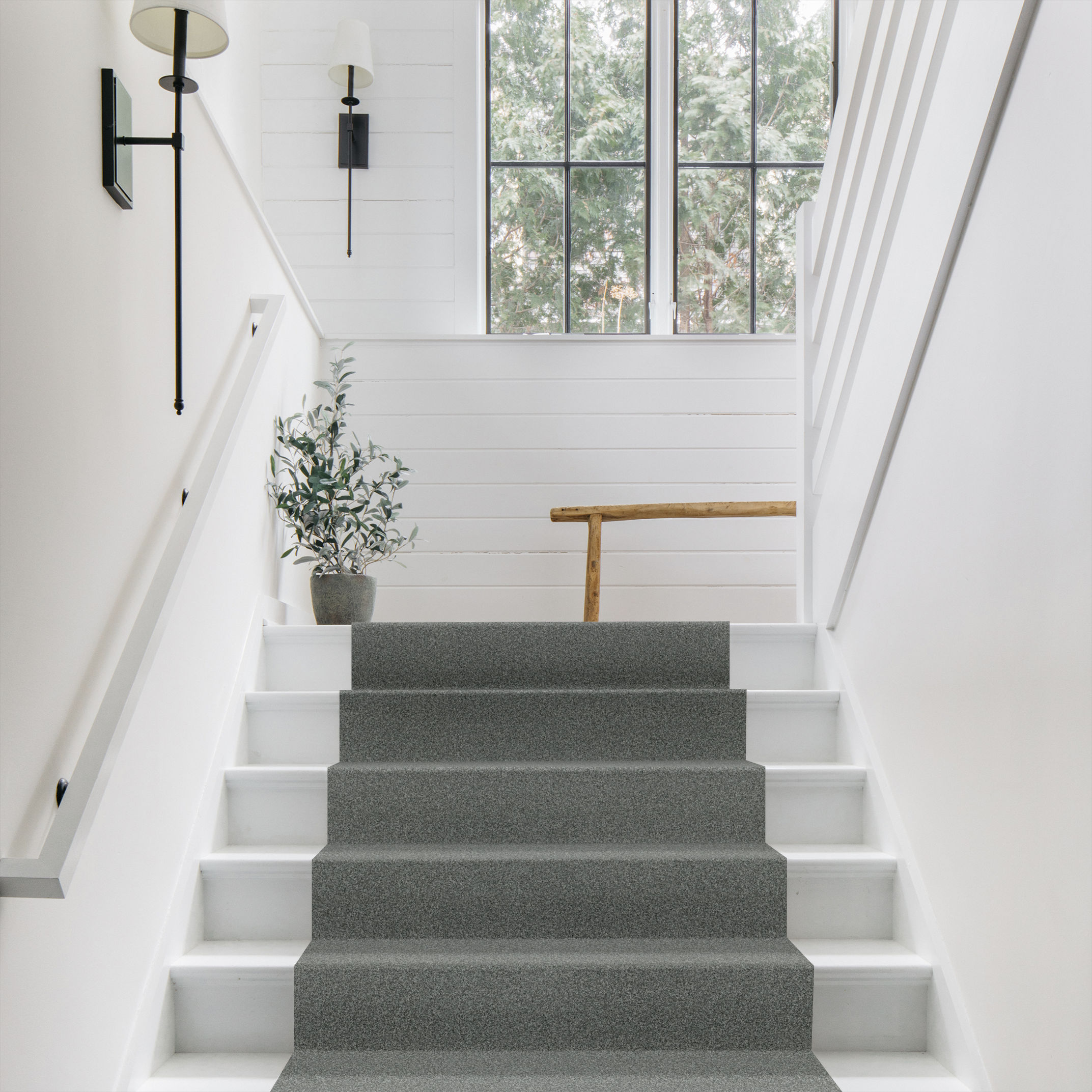 TERRA NOVA OCEANIC ROOM