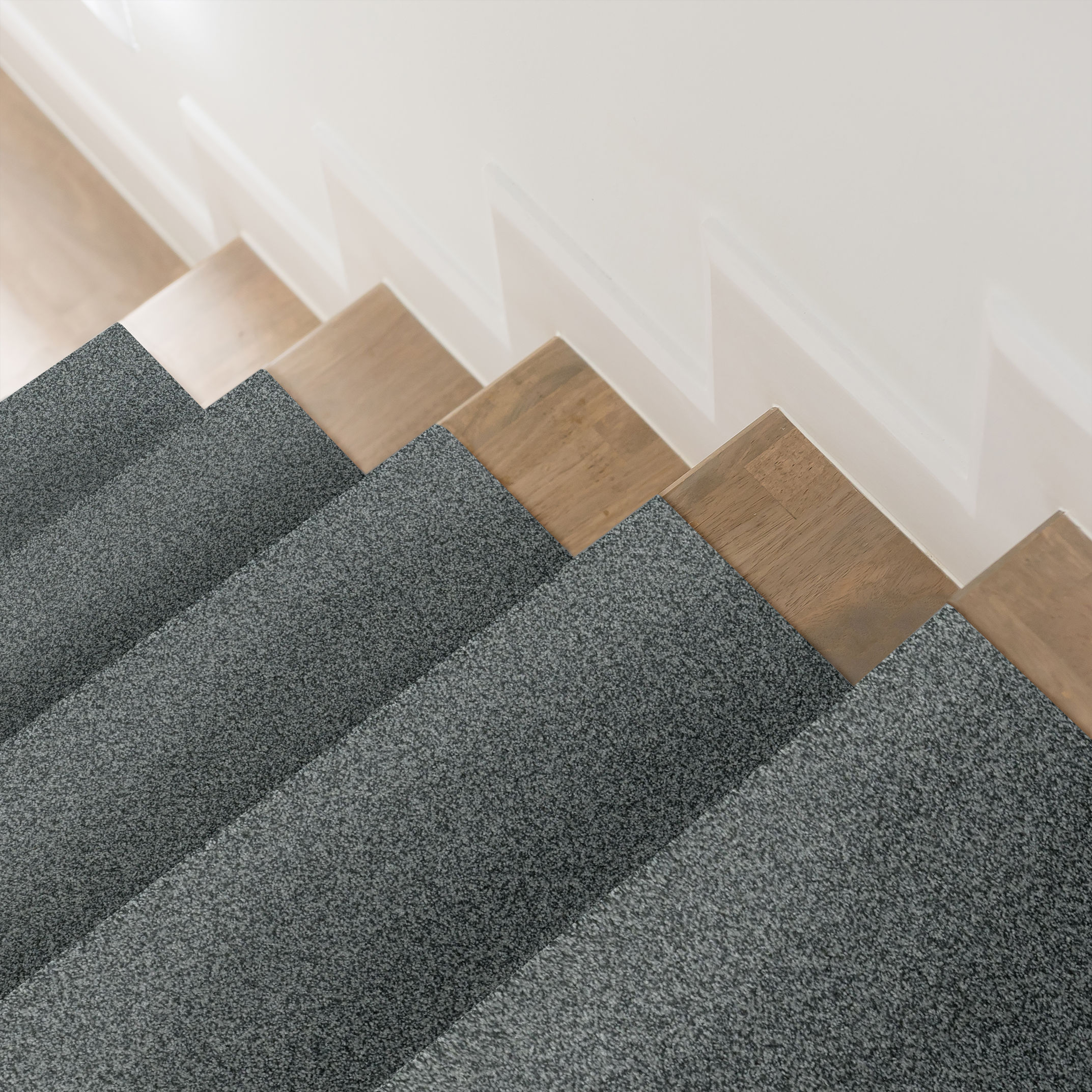 TERRA NOVA NORWEGIAN ROOM