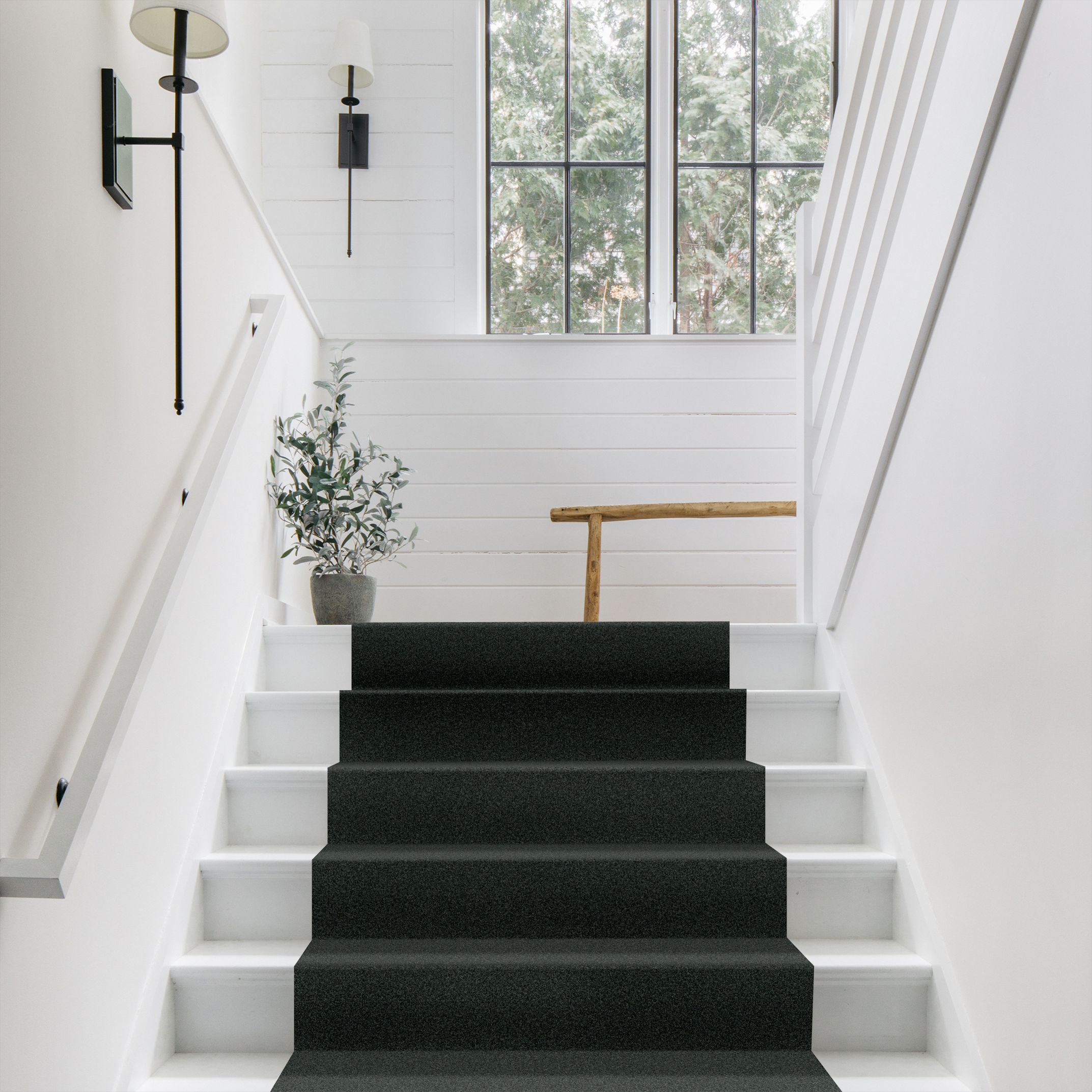 TERRA NOVA SUBMARINE ROOM