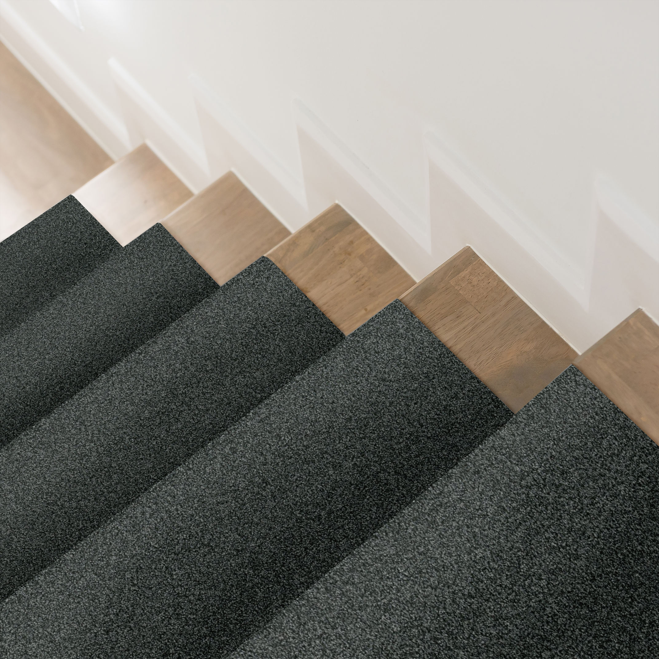 TERRA NOVA SUBMARINE ROOM