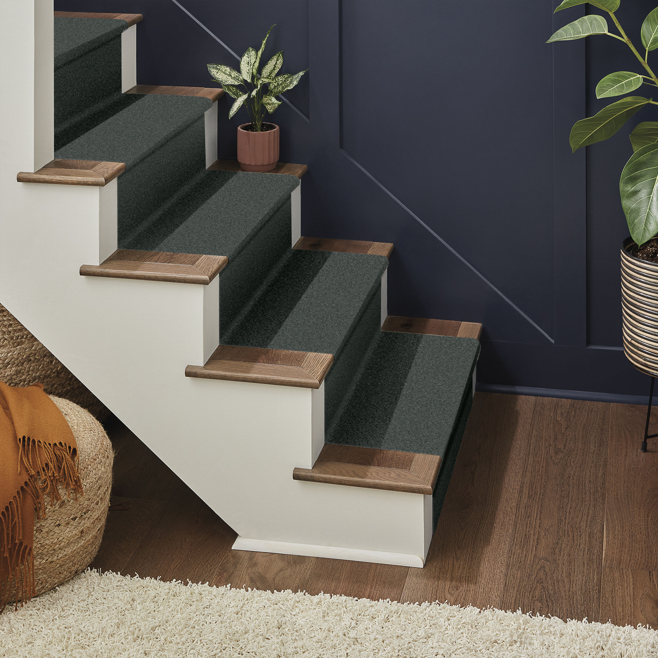 TERRA NOVA SUBMARINE ROOM