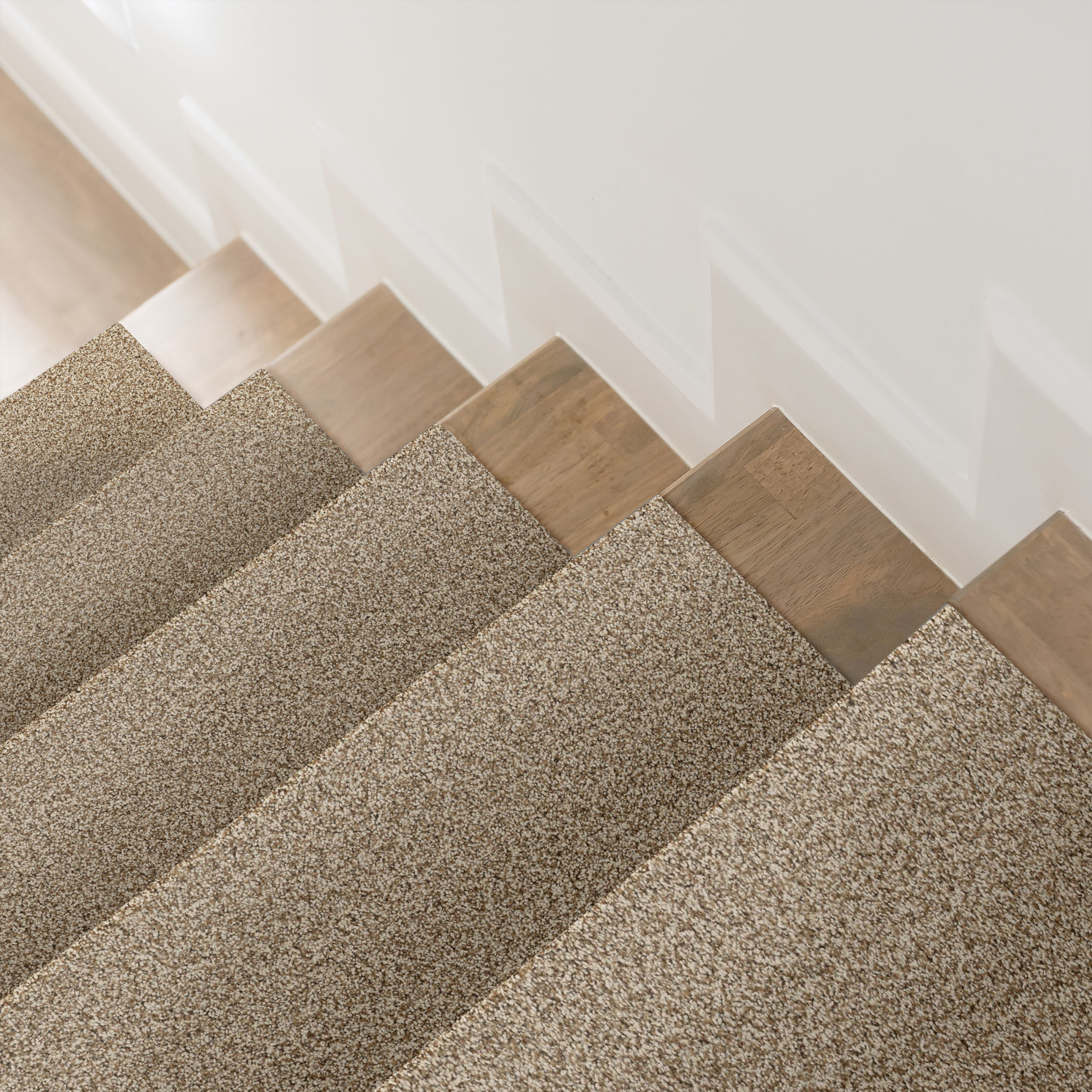 TERRA NOVA CASCADE ROOM