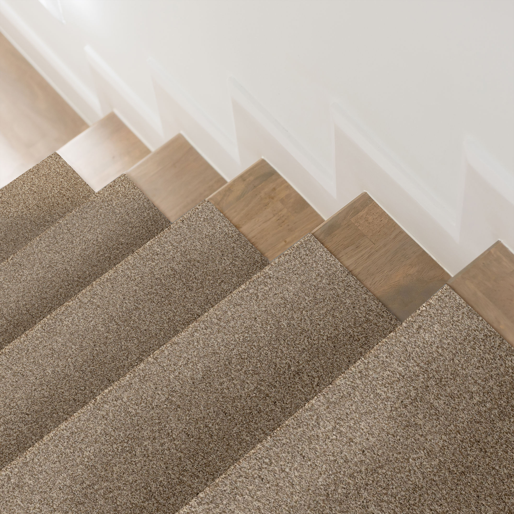 TERRA NOVA LANDSCAPE ROOM