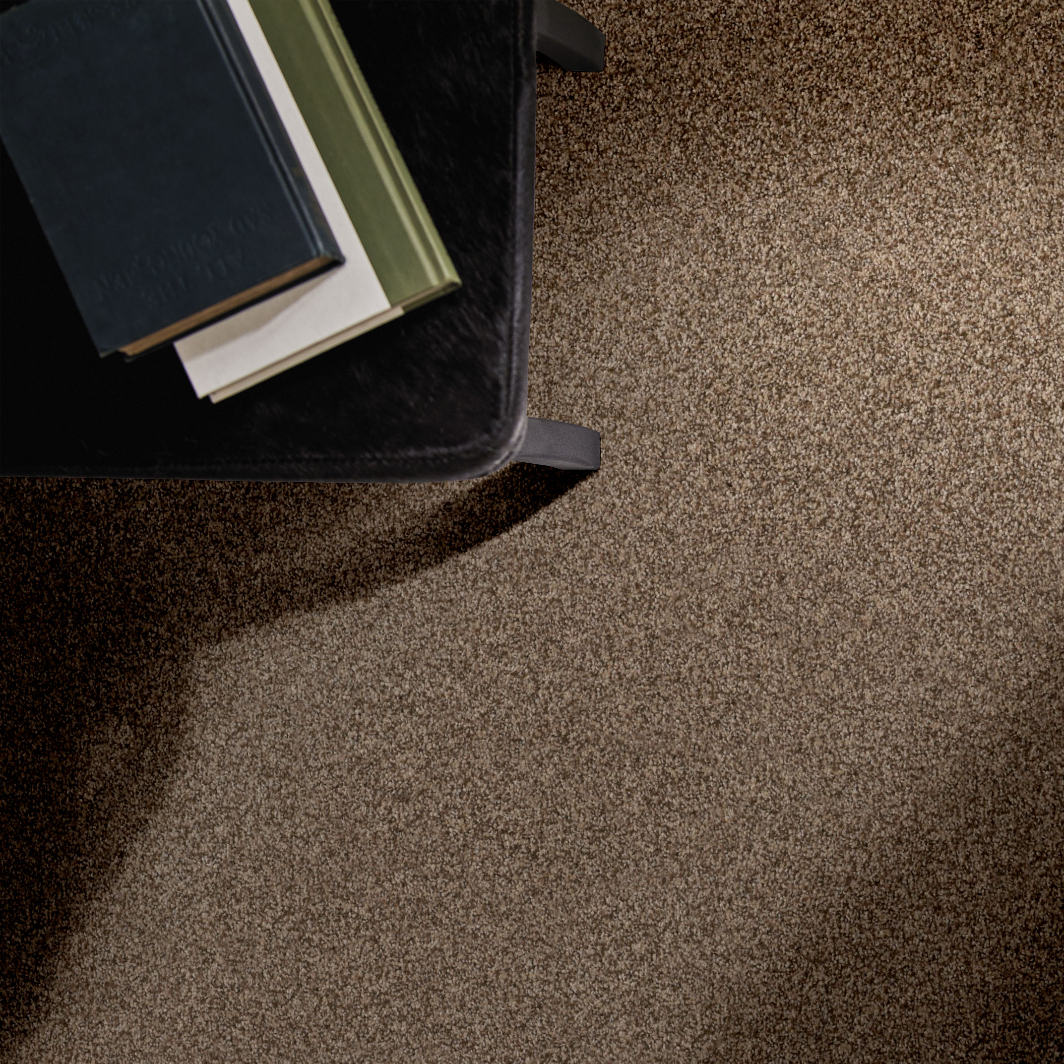 TERRA NOVA RANCH ROOM