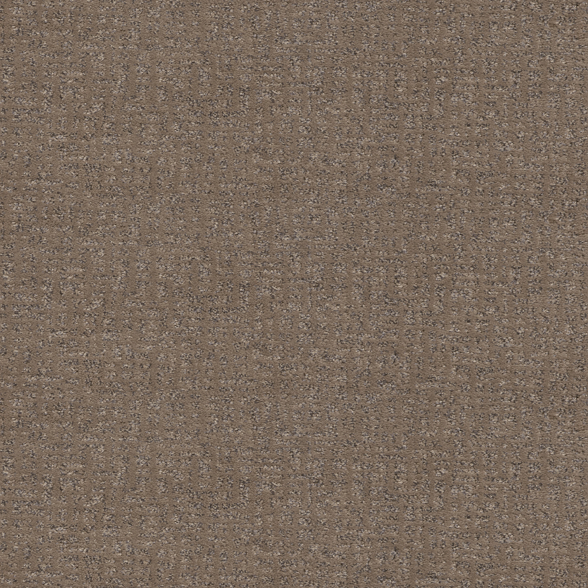 Caboodle - Carpet & Rugs in Sable | AndersonTuftex