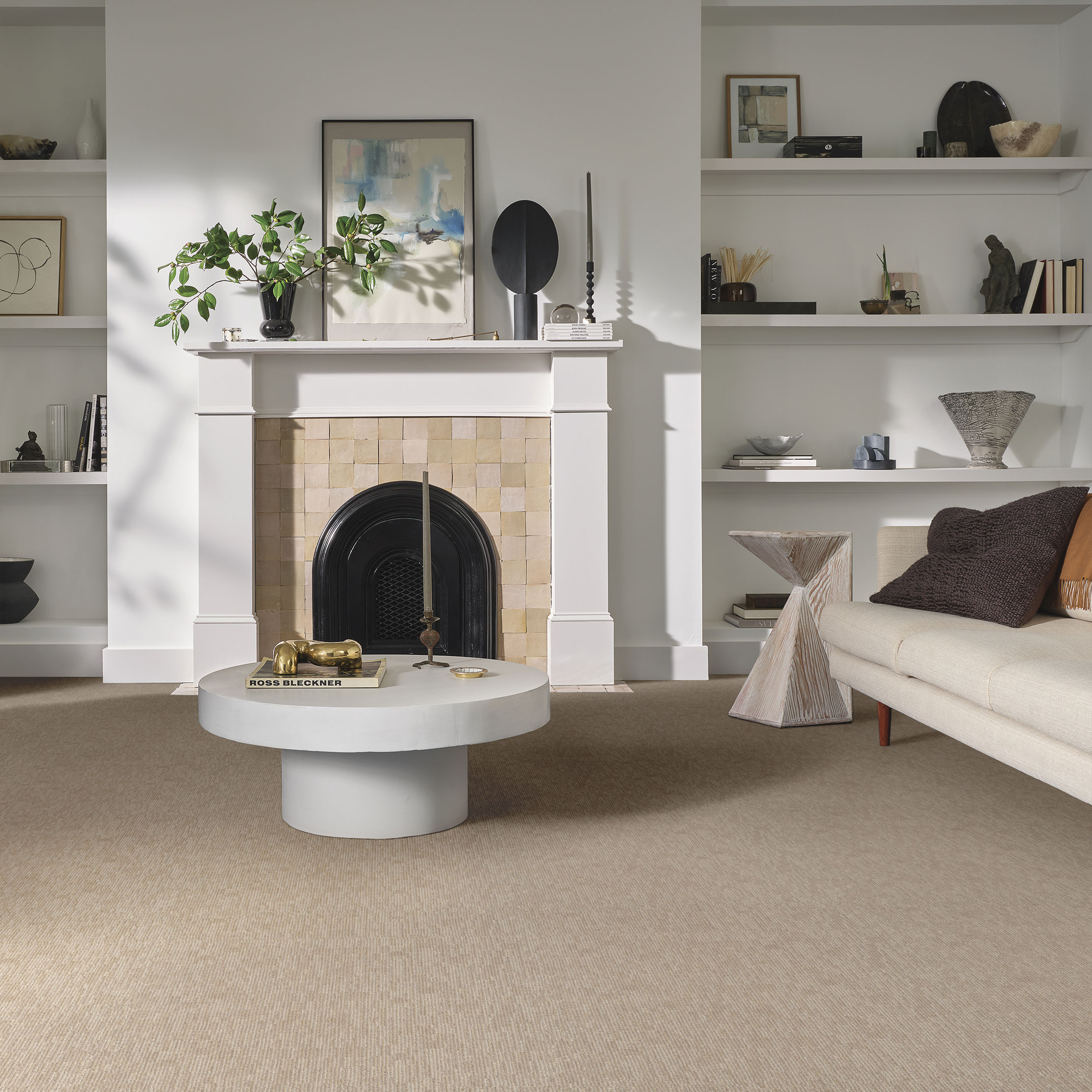 Sneak Peek - Carpet & Rugs in Almond Latte | AndersonTuftex