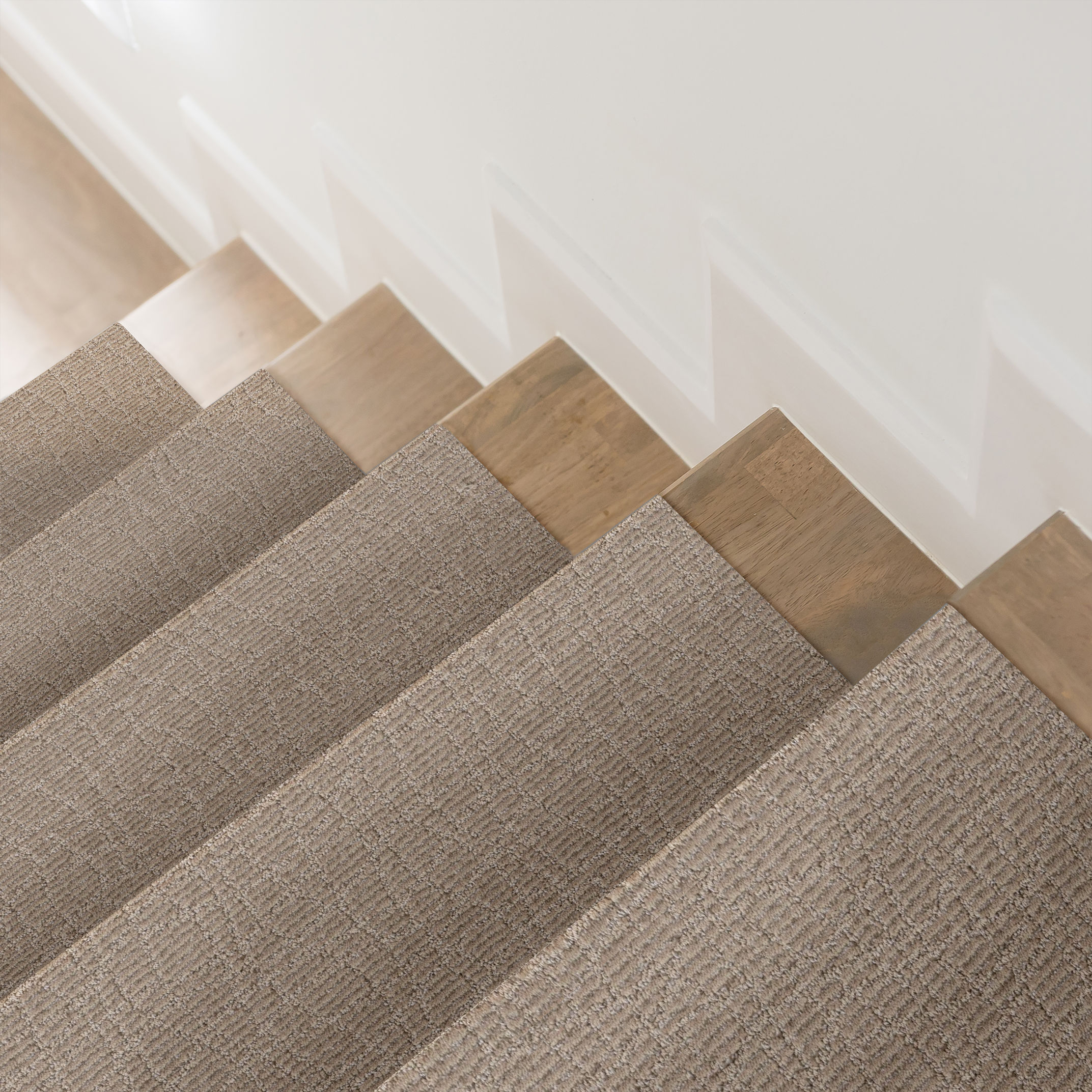 CHIT CHAT CANYON DUST ROOM