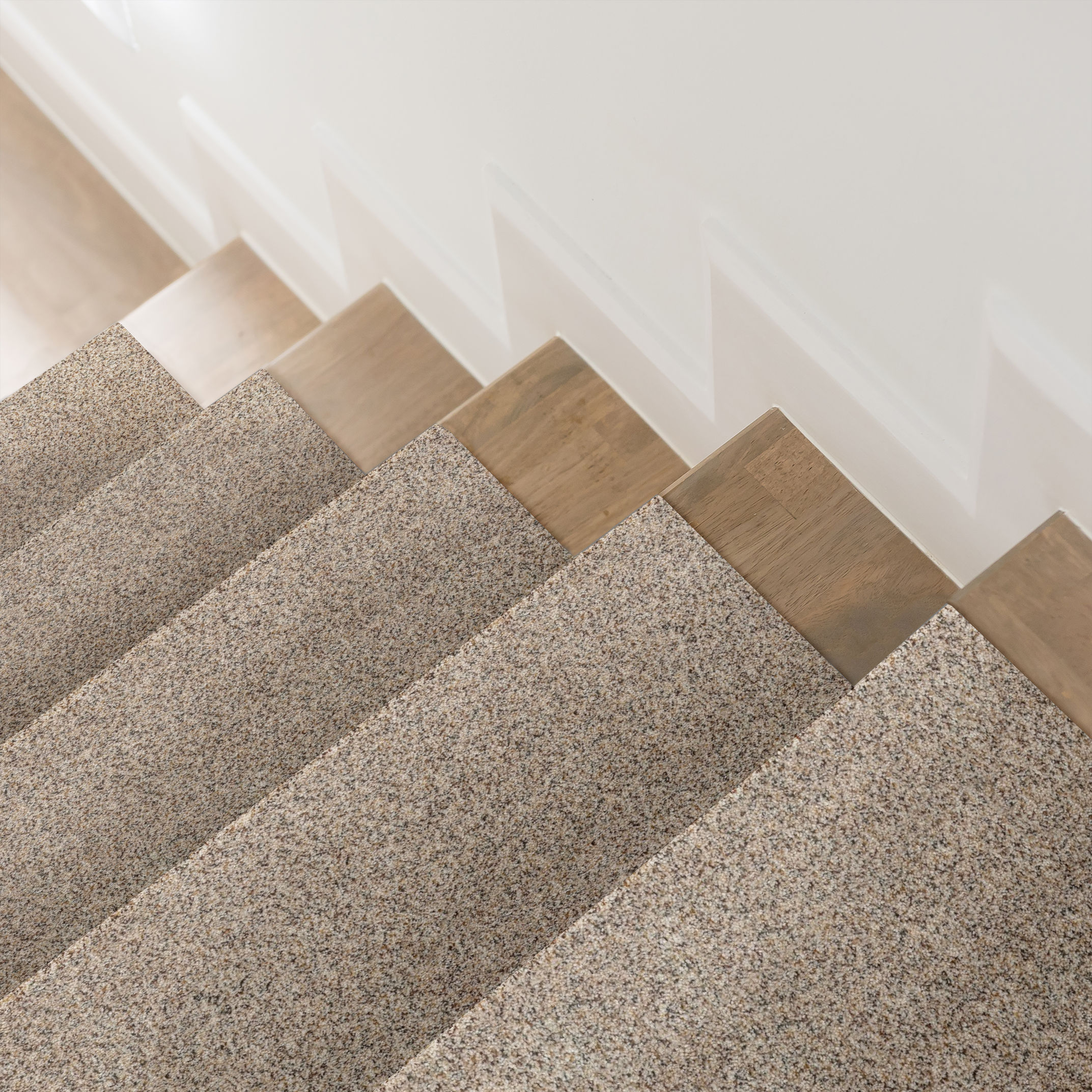 Topanga Canyon CALM IVORY ROOM