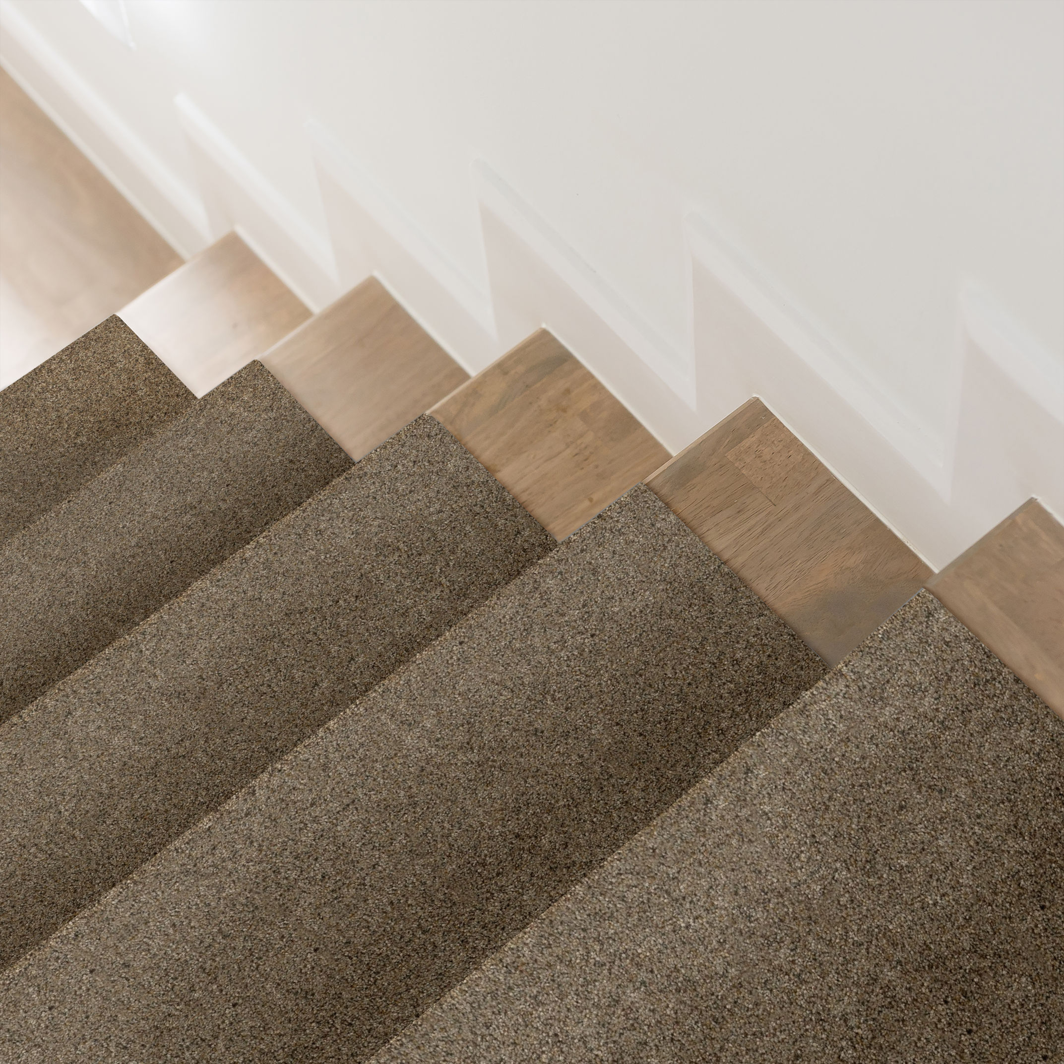 Topanga Canyon MORNING BLEND ROOM