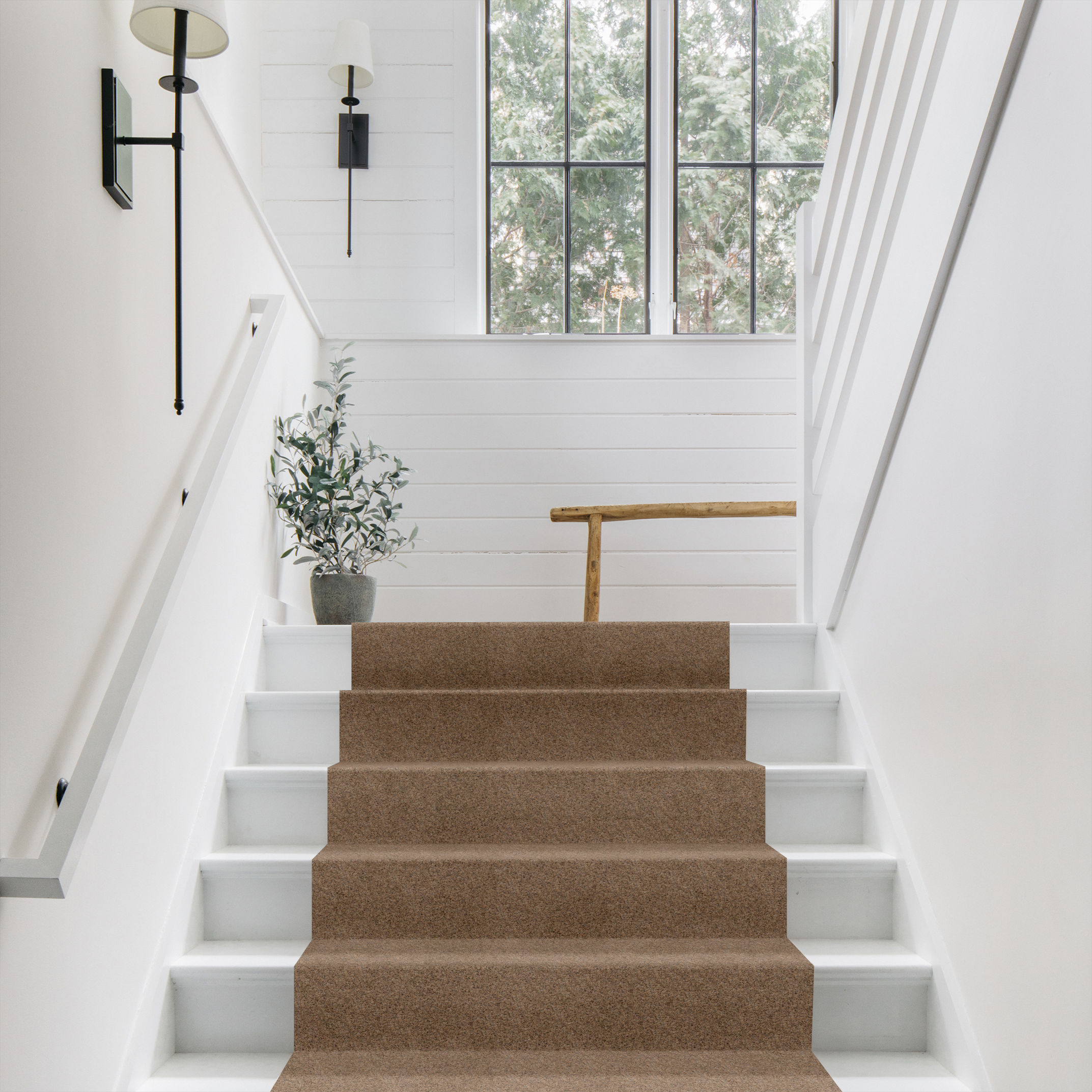 Topanga Canyon BASIC TAN ROOM