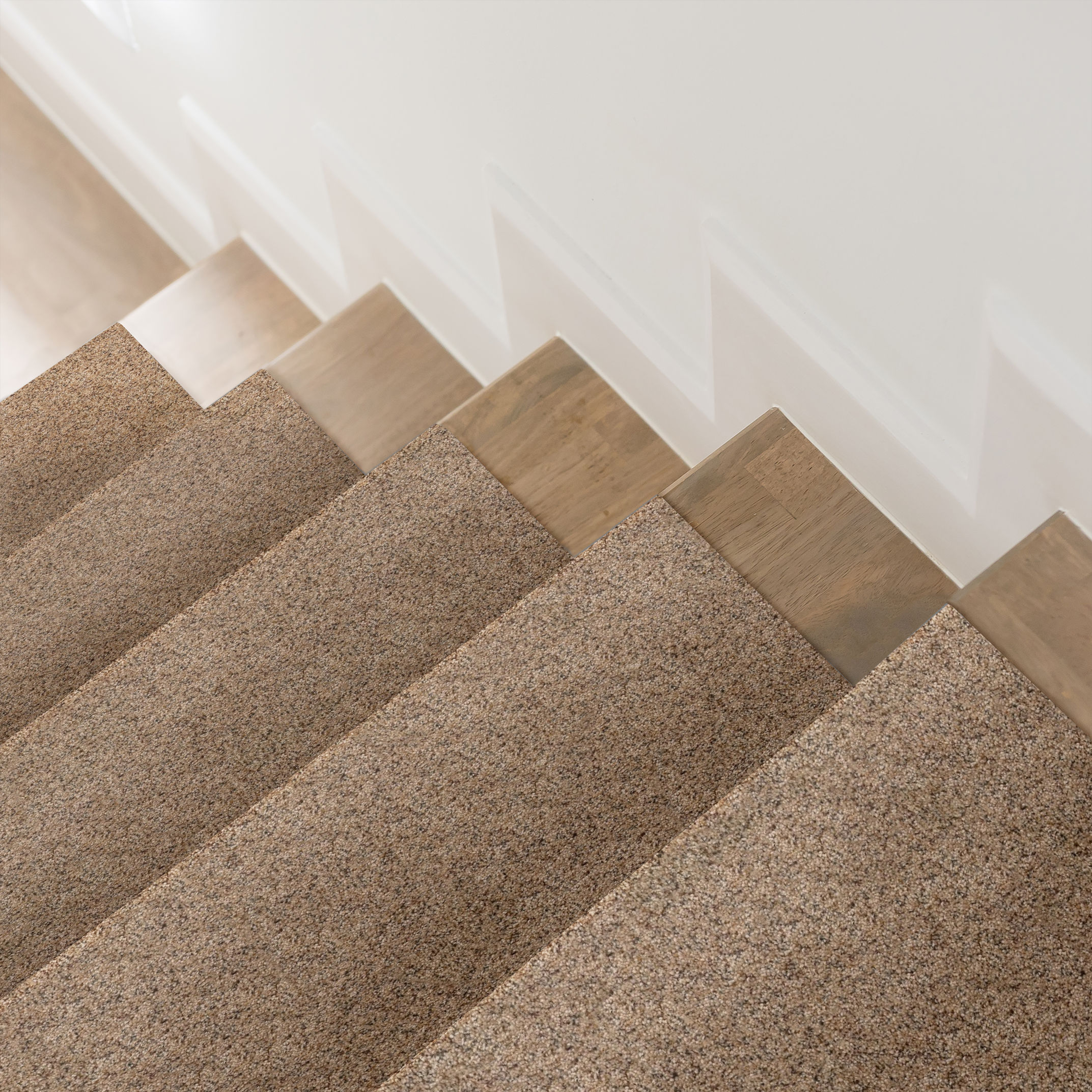 Topanga Canyon BASIC TAN ROOM