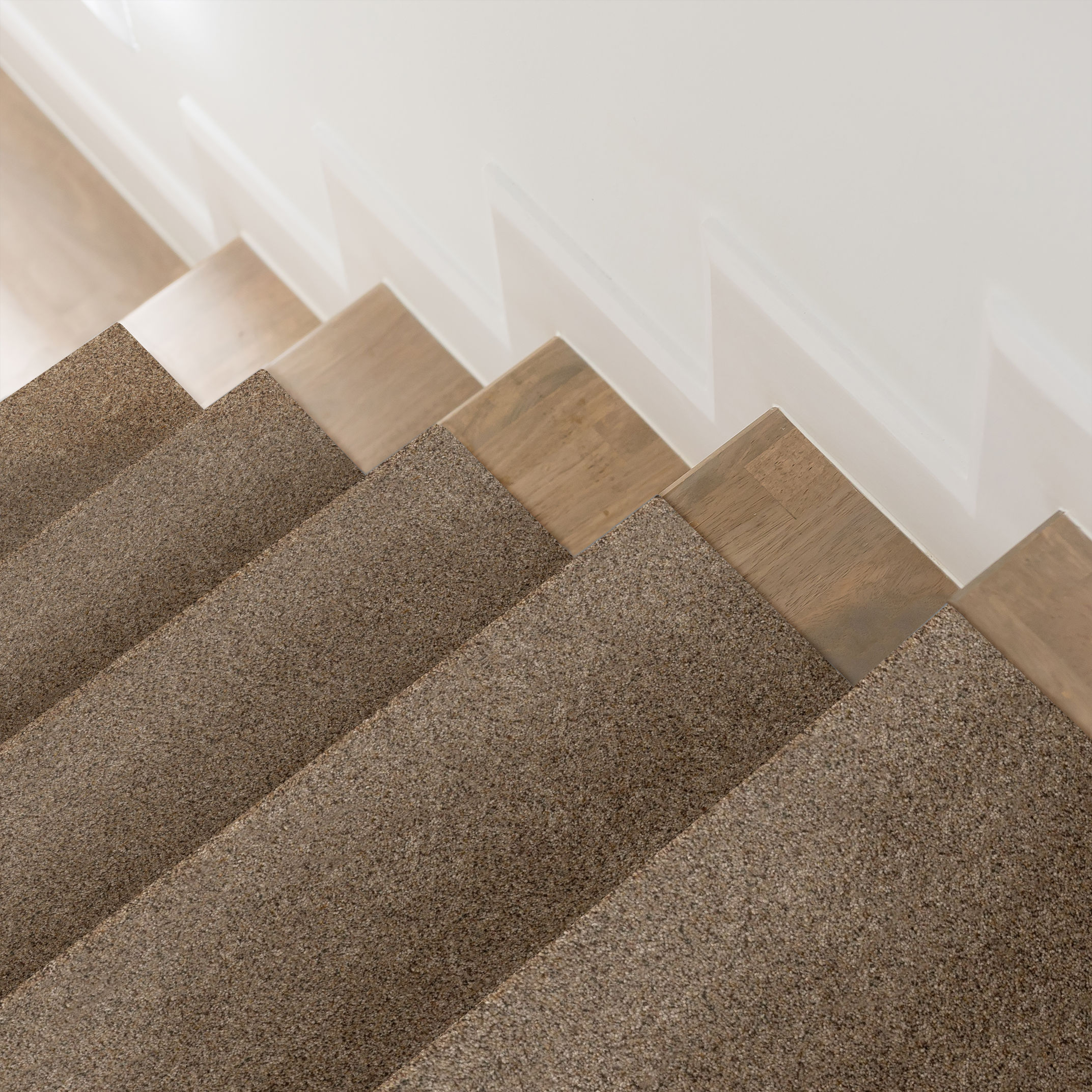 Topanga Canyon BUNGALOW ROOM