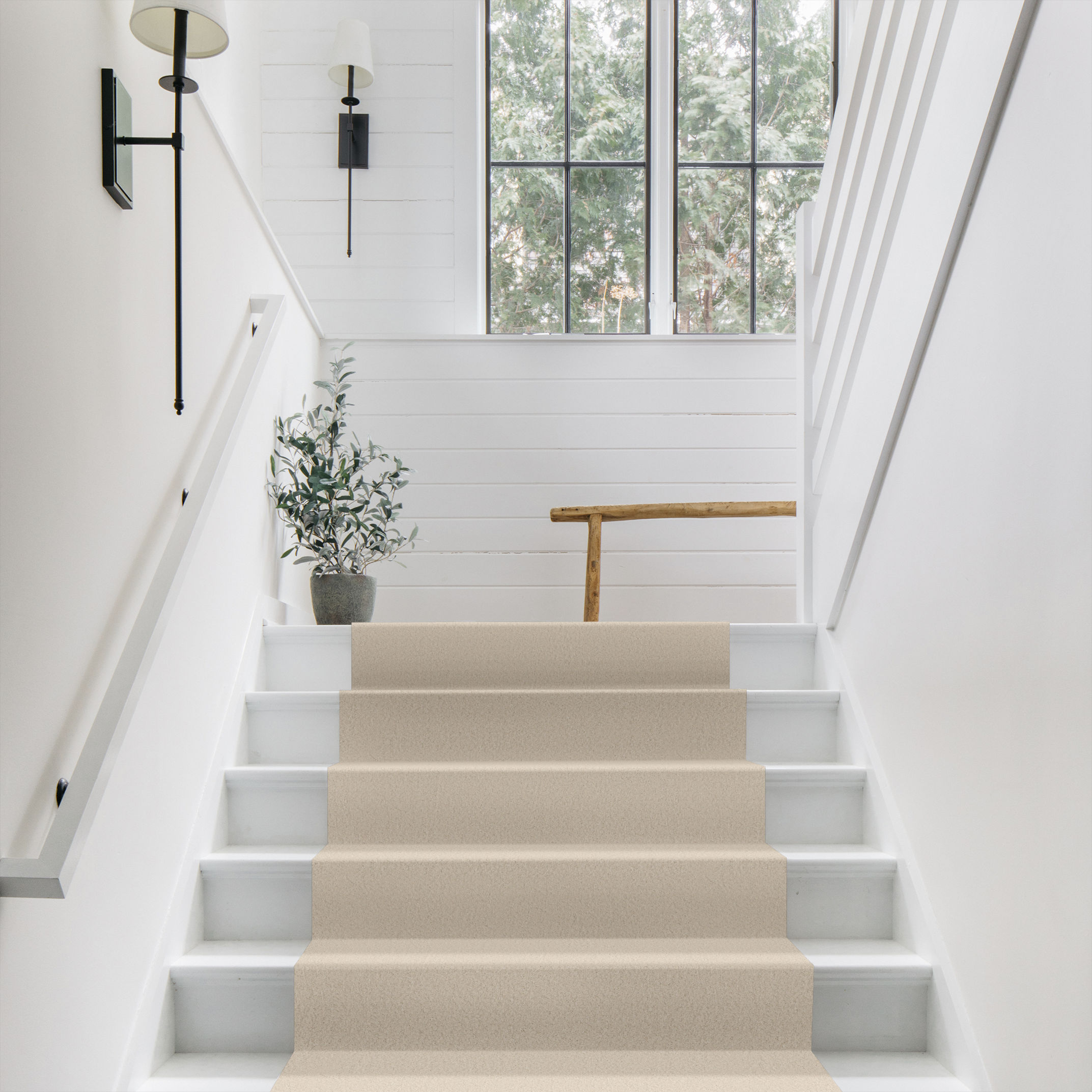 ENCHANTING ANGORA ROOM