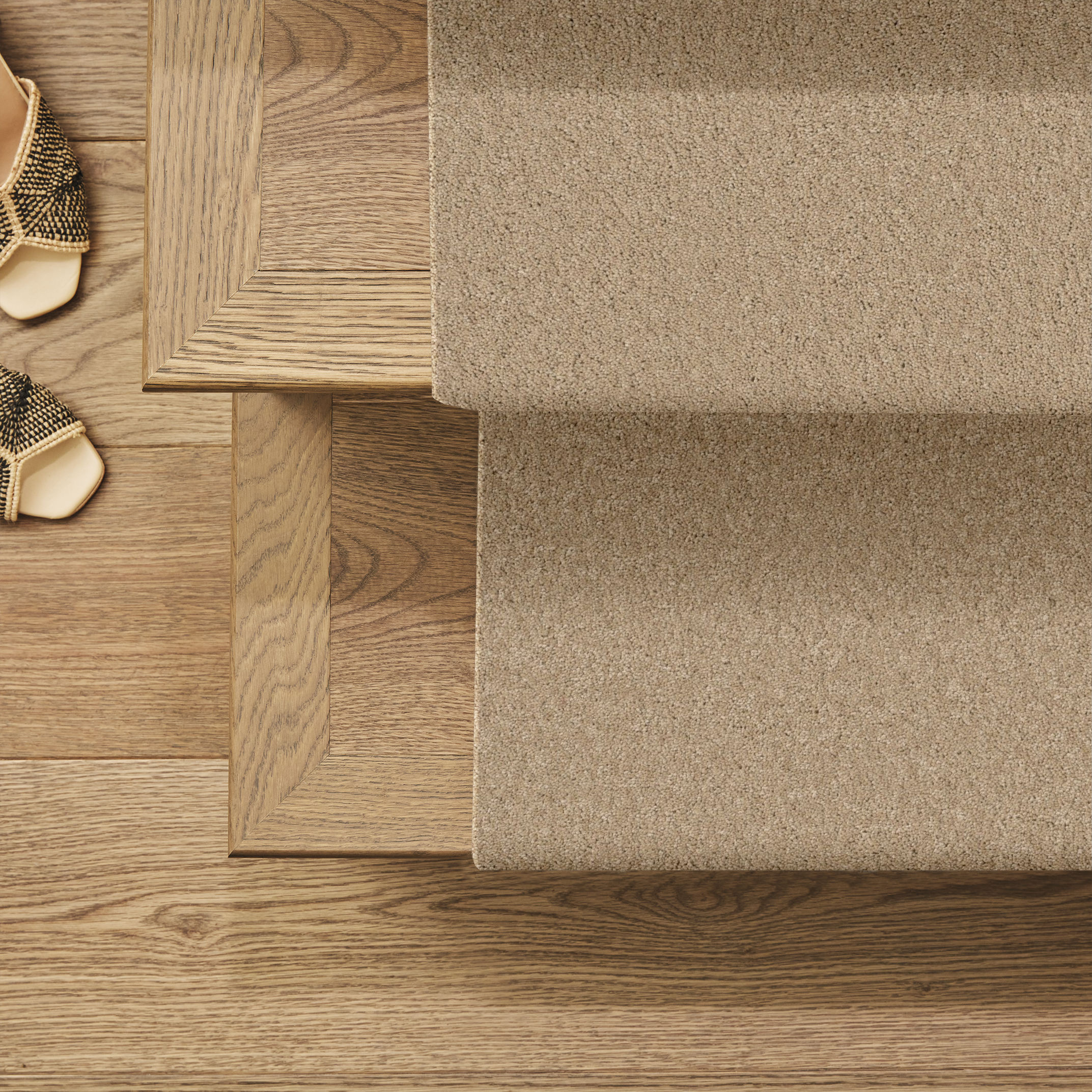 ENCHANTING TRANSPARENT ROOM