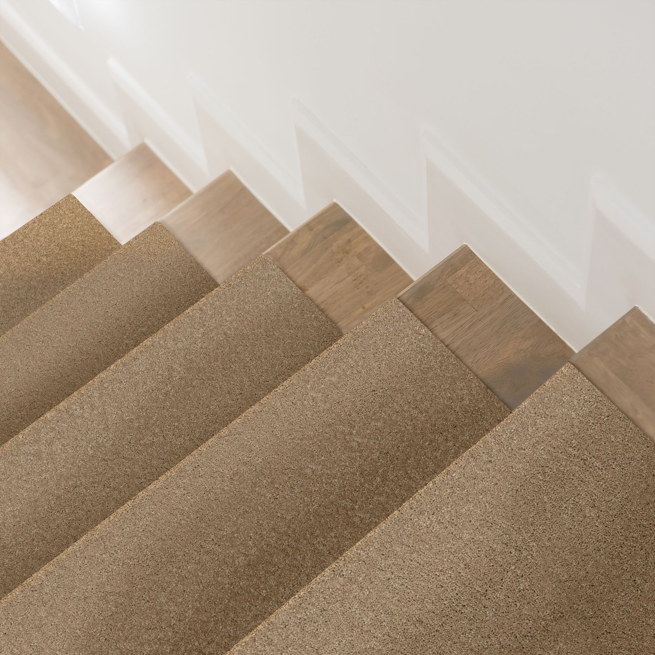 ENCHANTING NATURAL ROOM