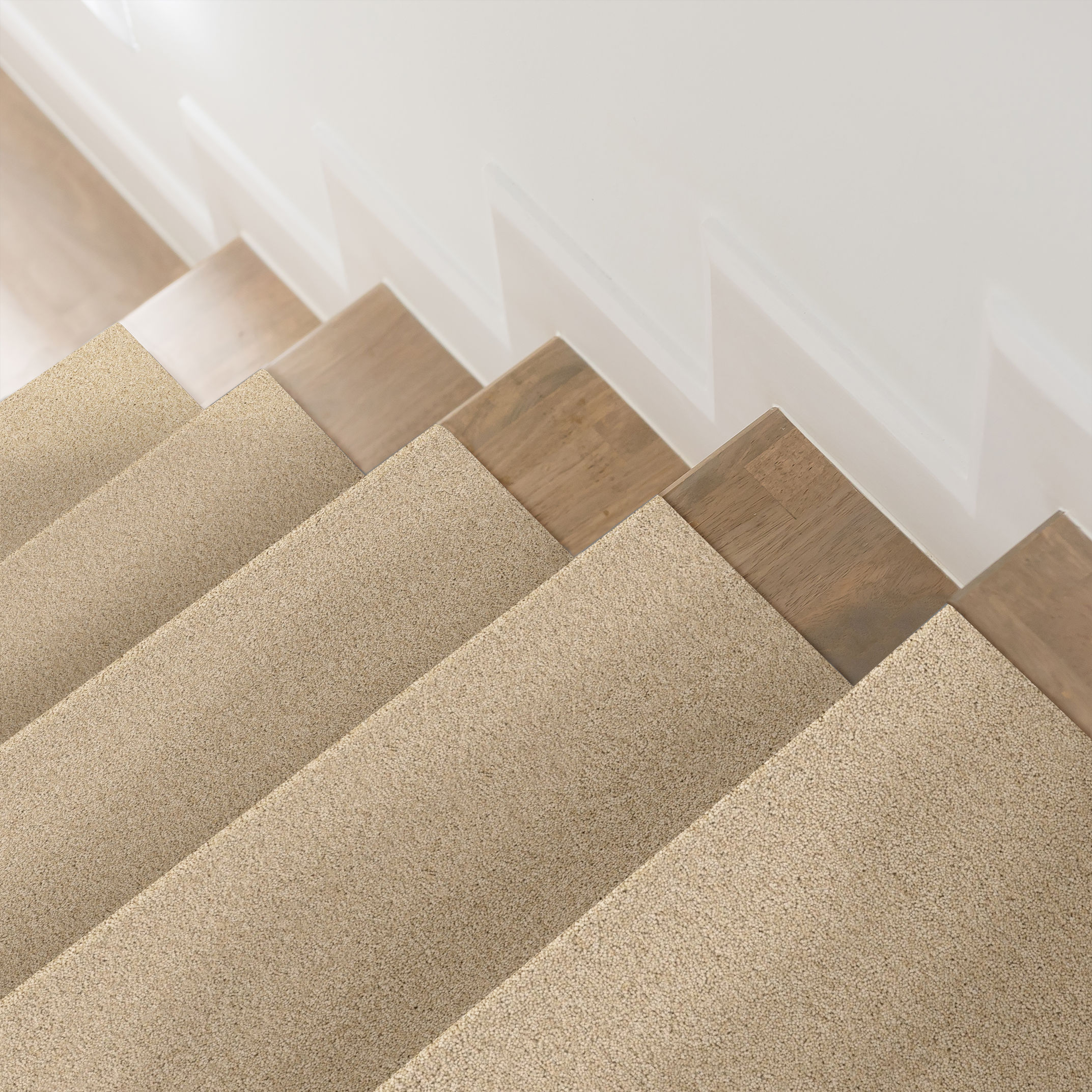 ENCHANTING PAPYRUS ROOM