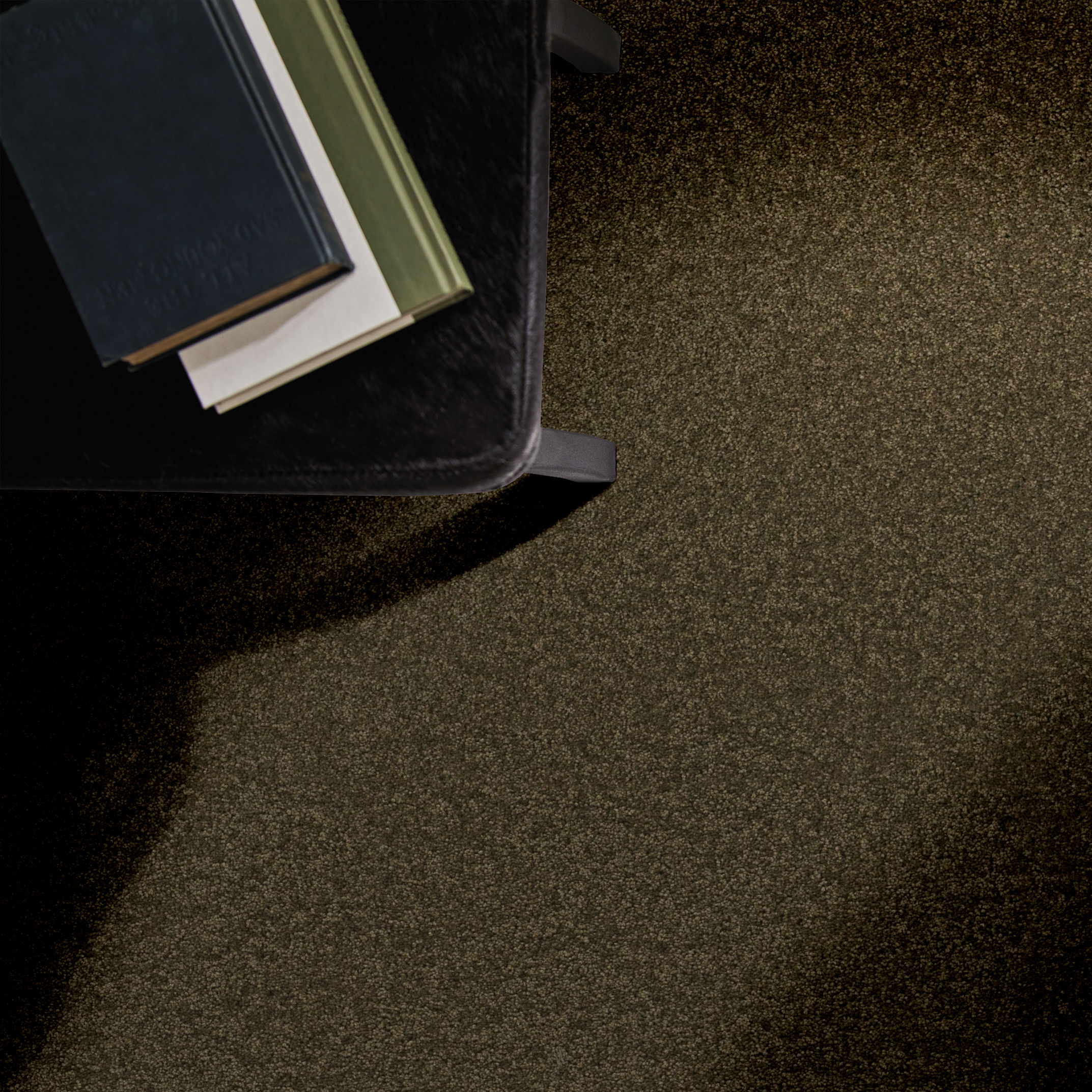 ENCHANTING DARK OLIVE ROOM