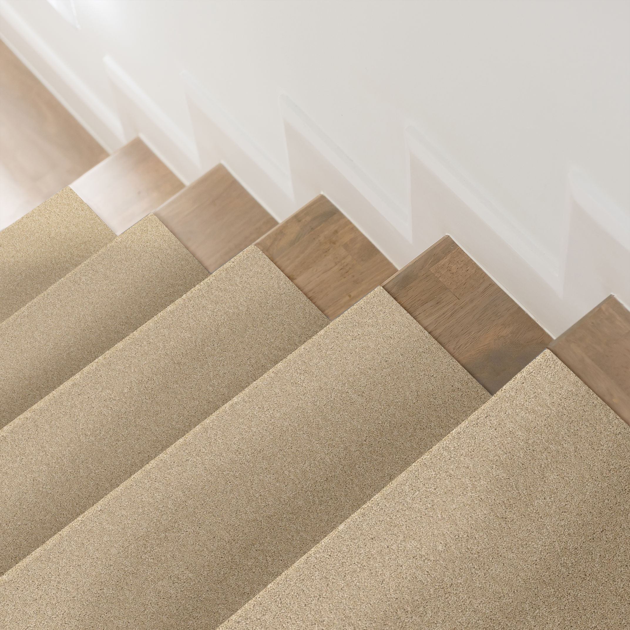 ENDURING CHARM PAPYRUS ROOM