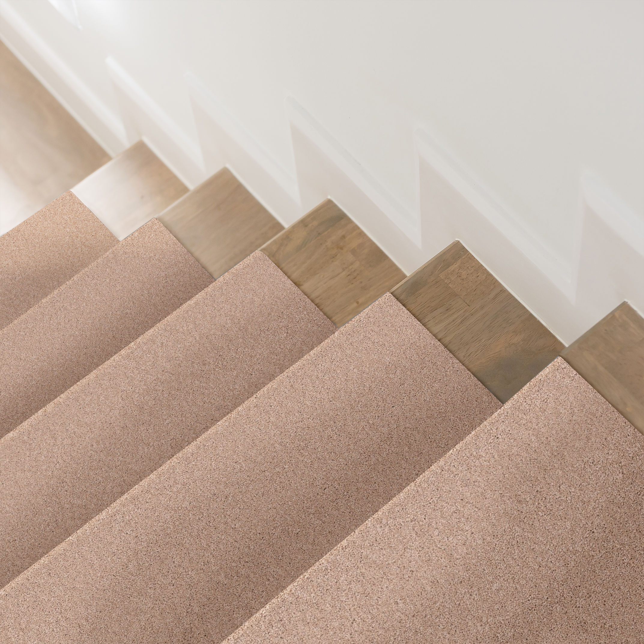 ENDURING CHARM APRICOT ICE ROOM