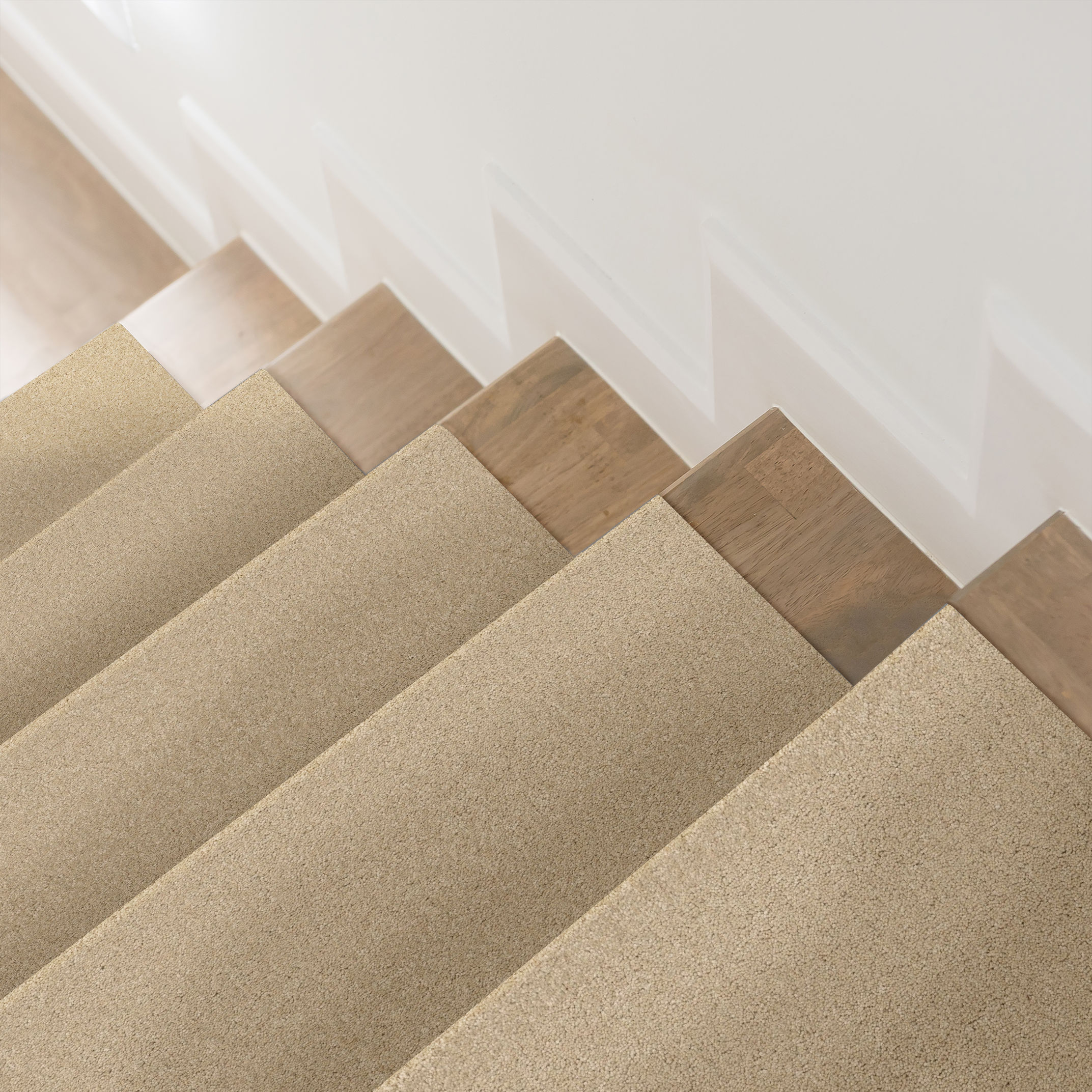 ELEGANT BEAUTY PAPYRUS ROOM