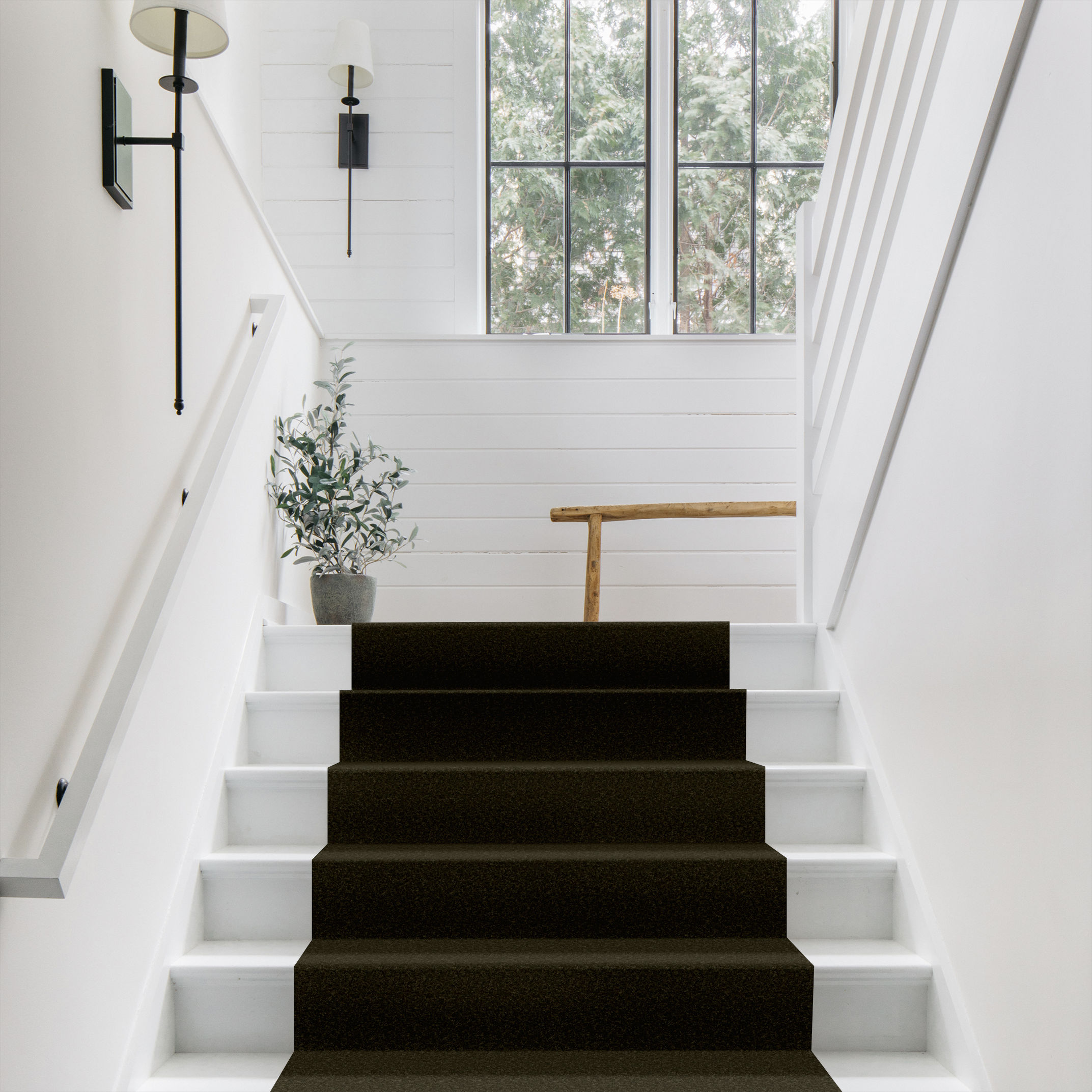 ELEGANT BEAUTY DARK OLIVE ROOM