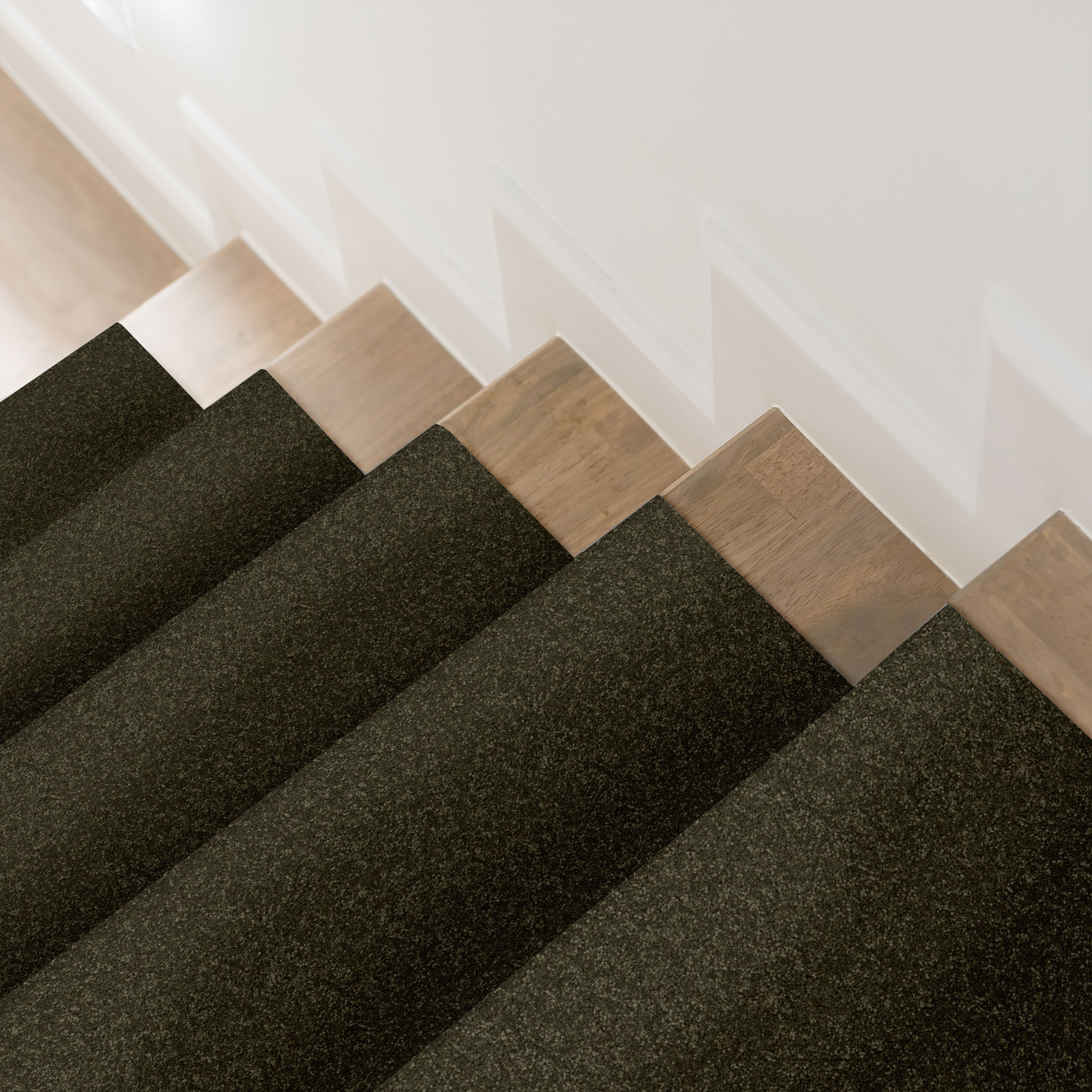 ELEGANT BEAUTY DARK OLIVE ROOM