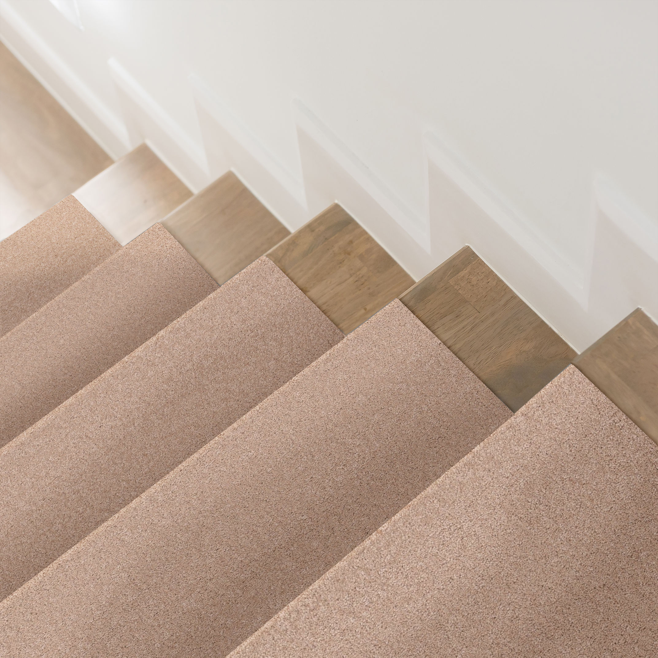 ELEGANT BEAUTY APRICOT ICE ROOM