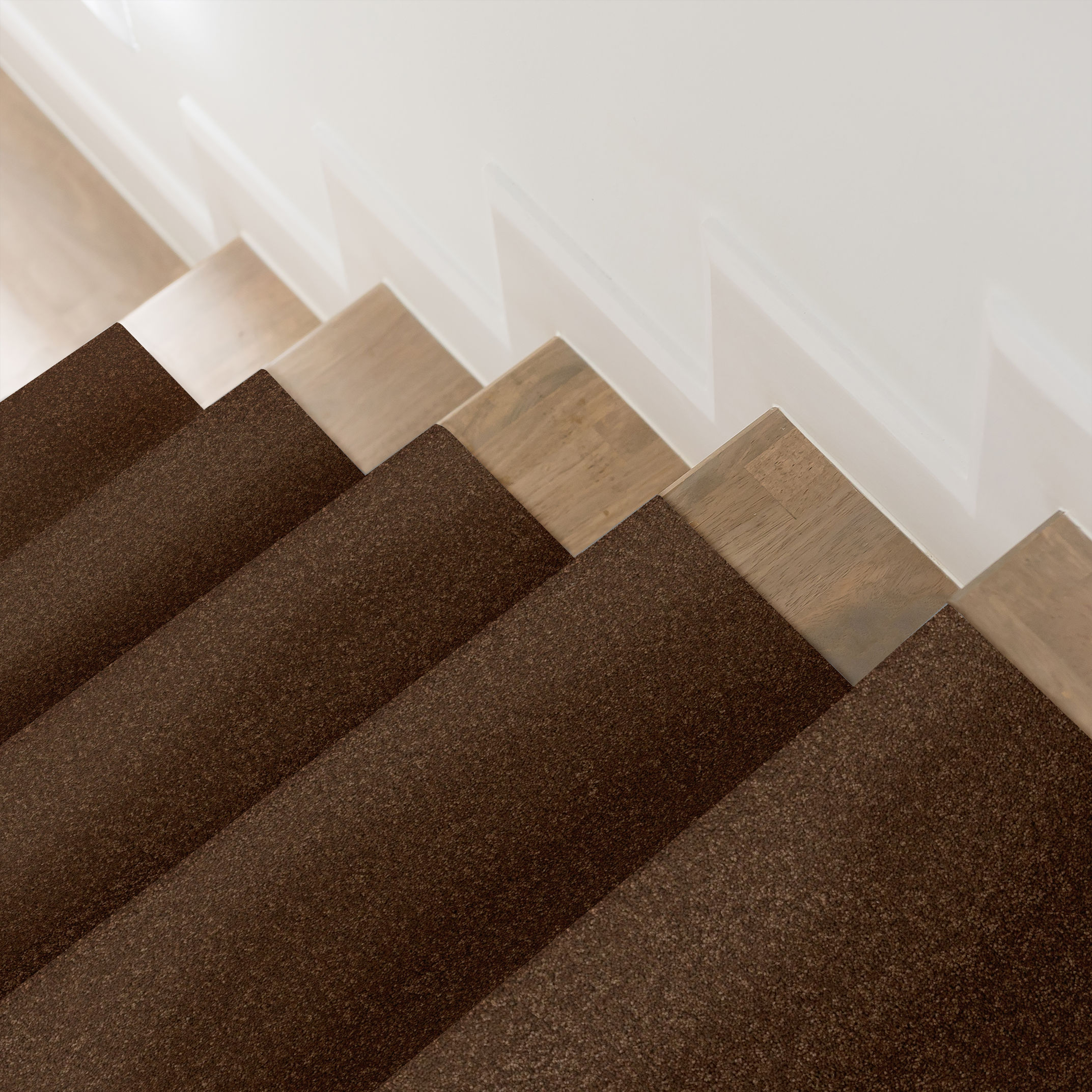 ELEGANT BEAUTY BRONCO ROOM