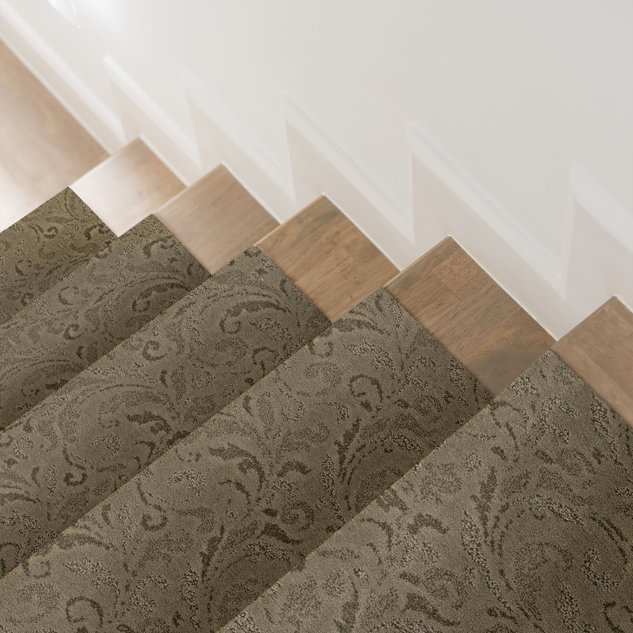 CHARISMATIC BONSAI ROOM